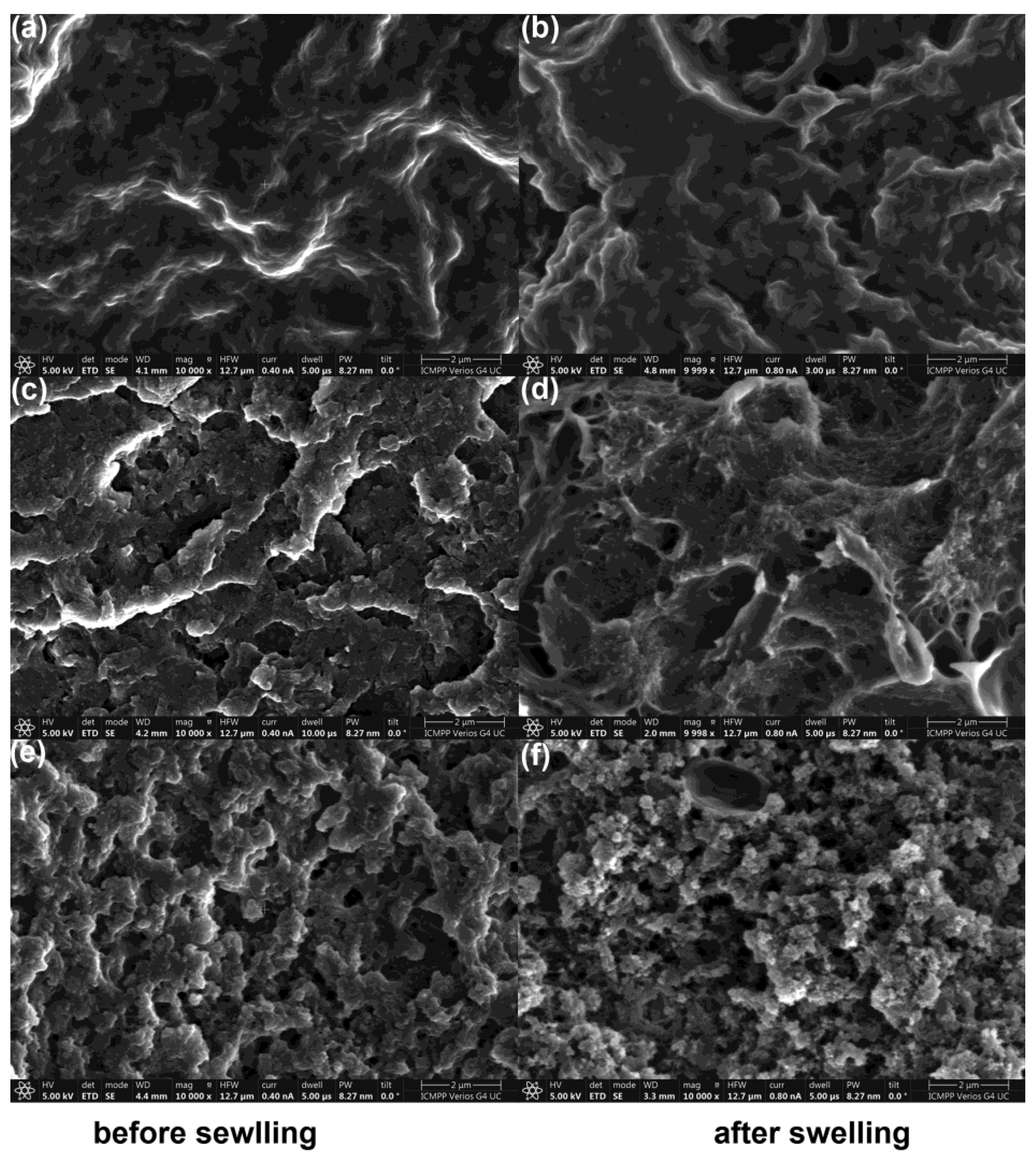 Materials 16 05594 g004 Materials 16 05594 g004