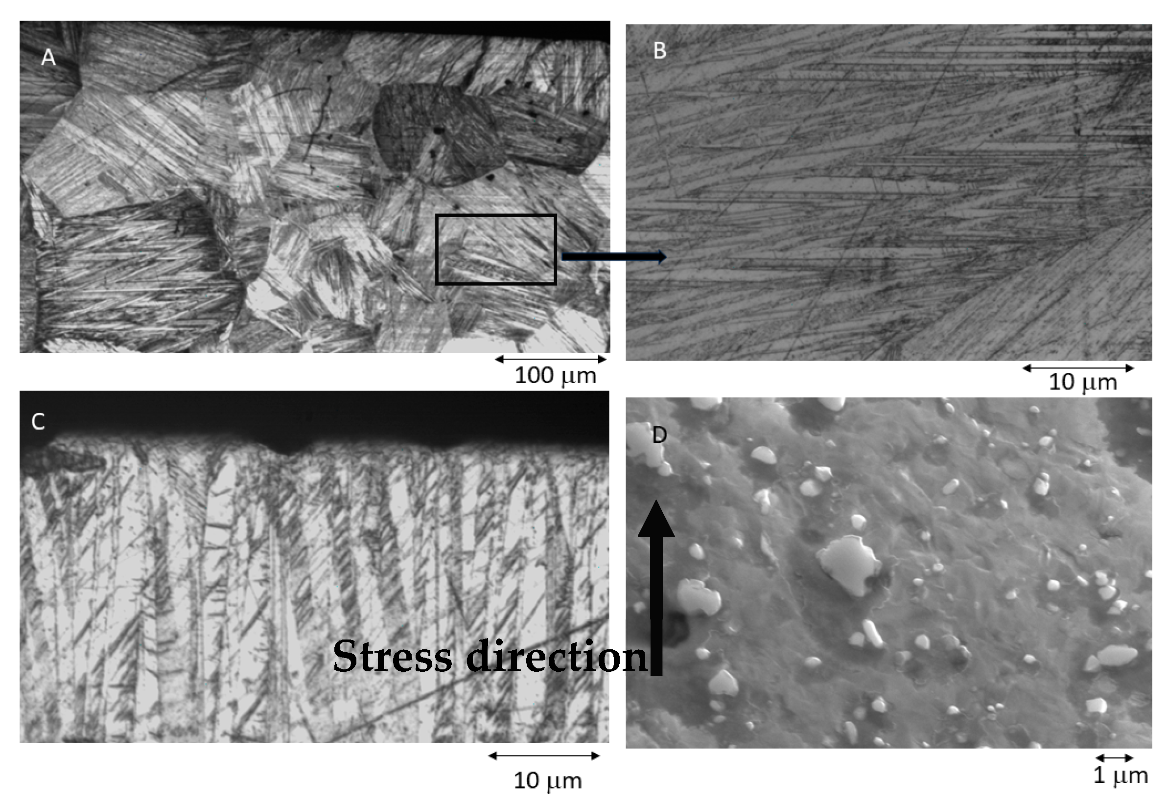 Materials 16 05604 g006