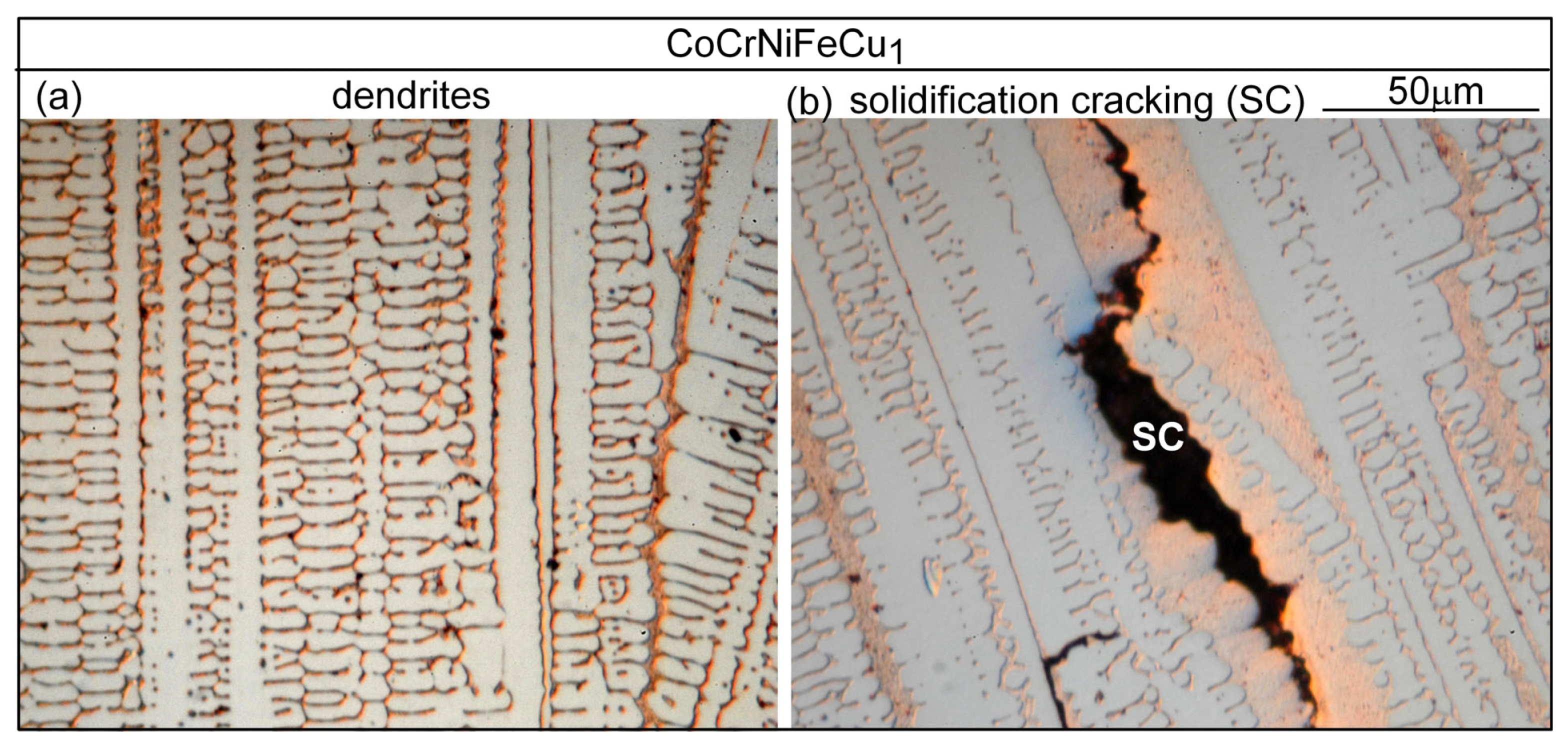 Materials 16 05621 g008