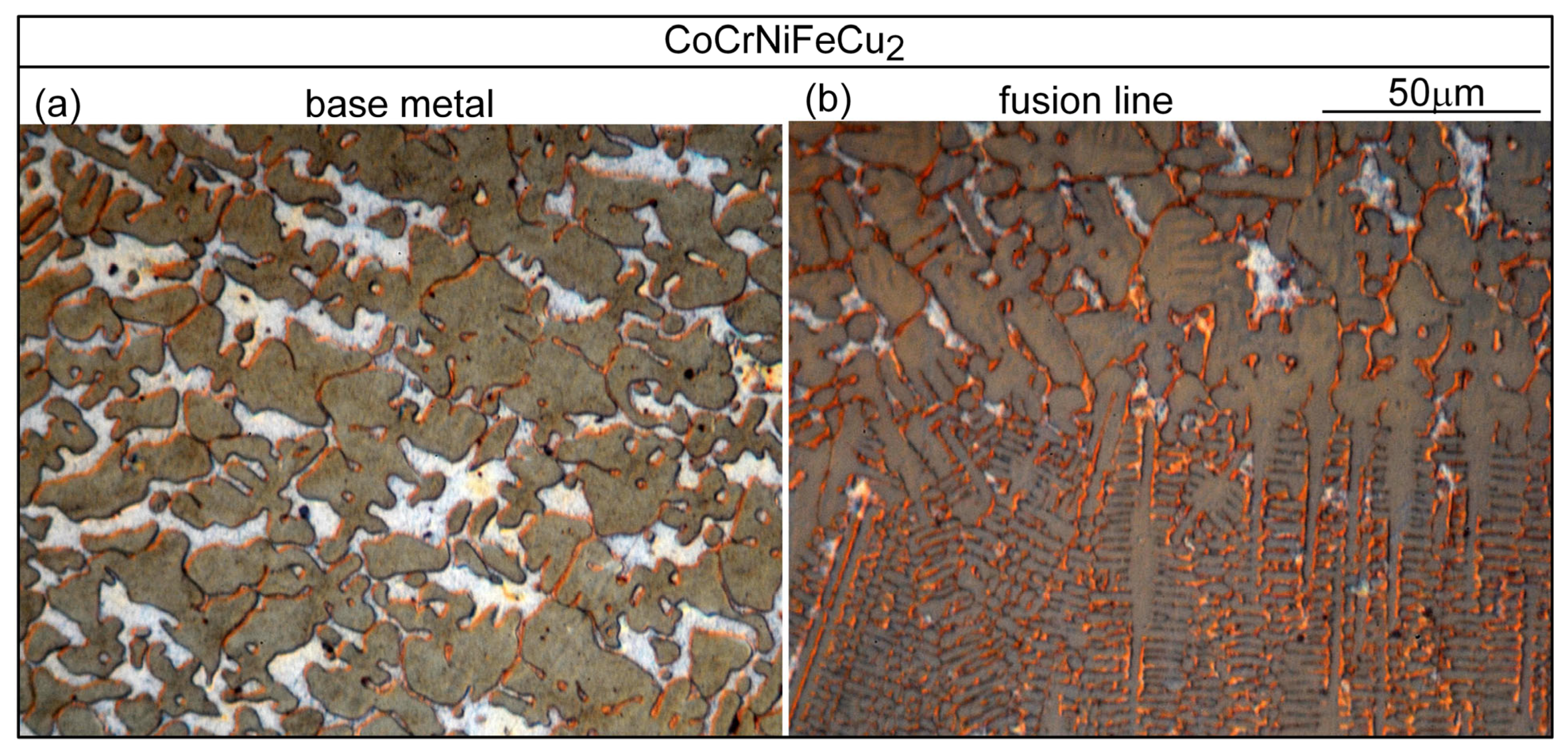 Materials 16 05621 g017