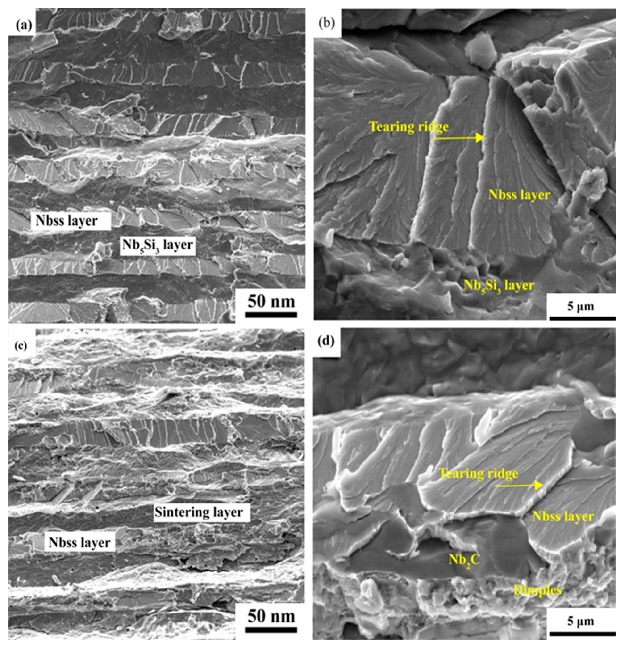 Materials 16 05637 g006