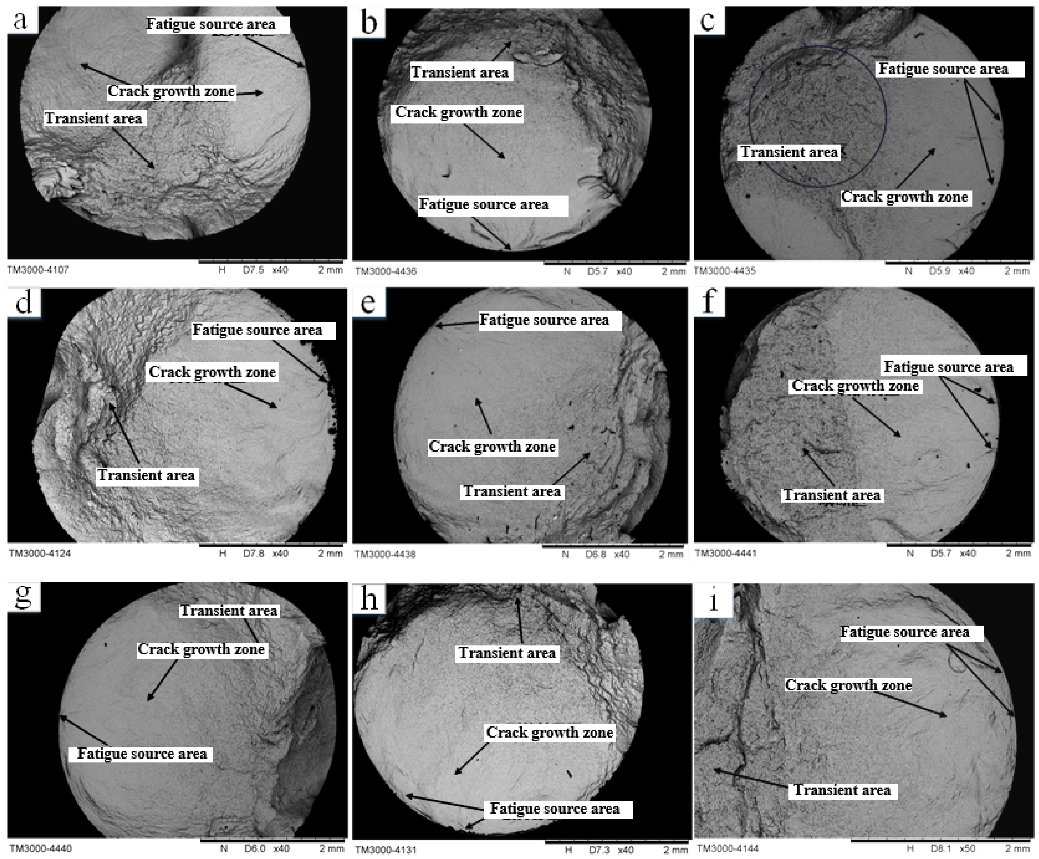 Materials 16 05658 g009