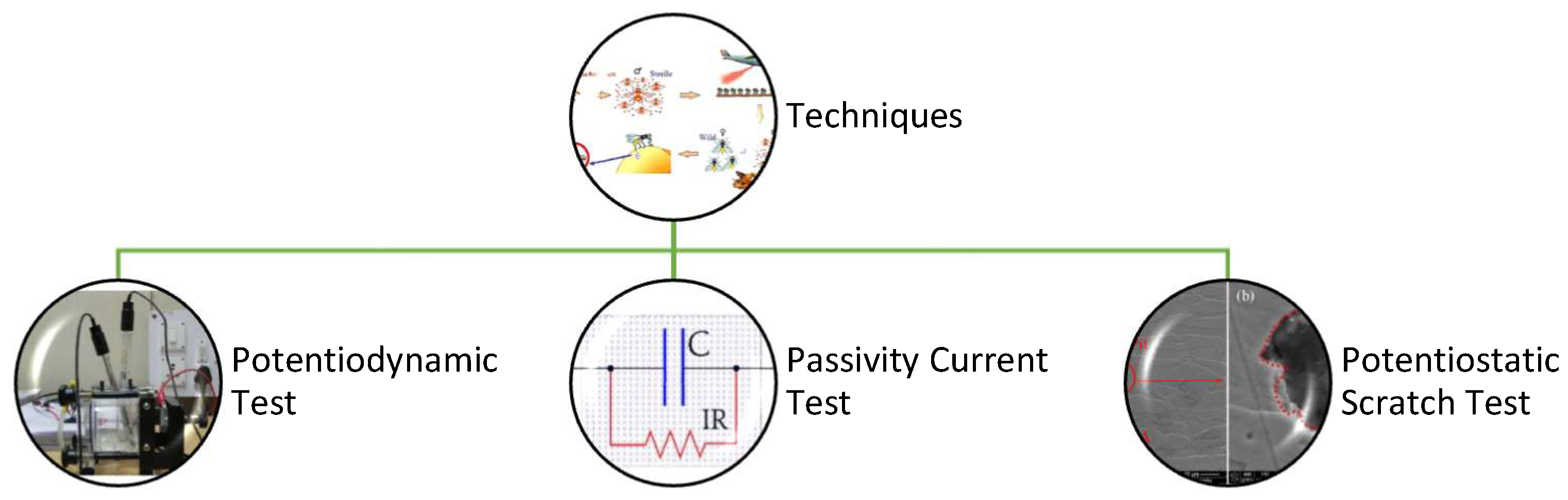 Materials 16 05660 g005