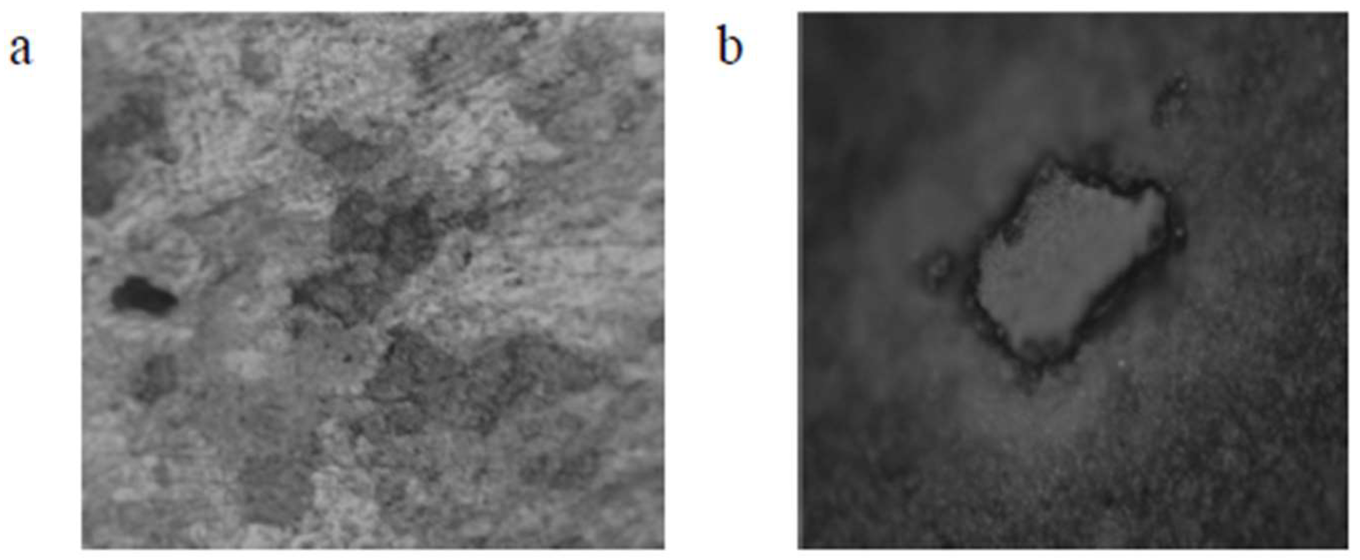 Materials 16 05660 g008