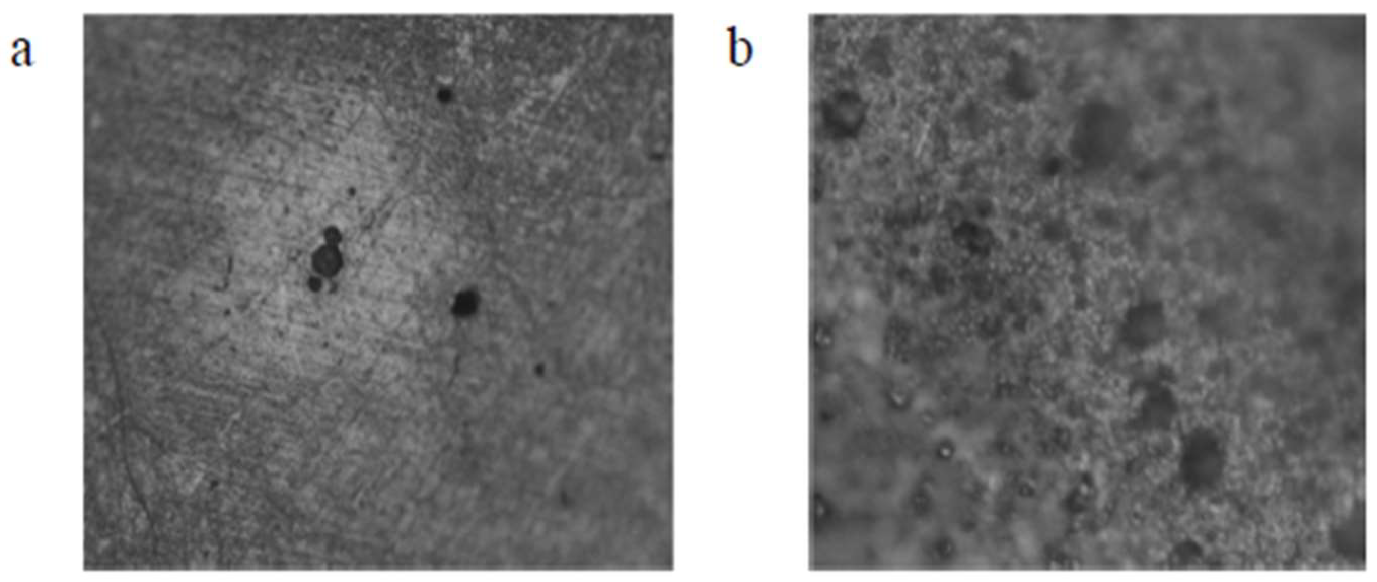 Materials 16 05660 g009