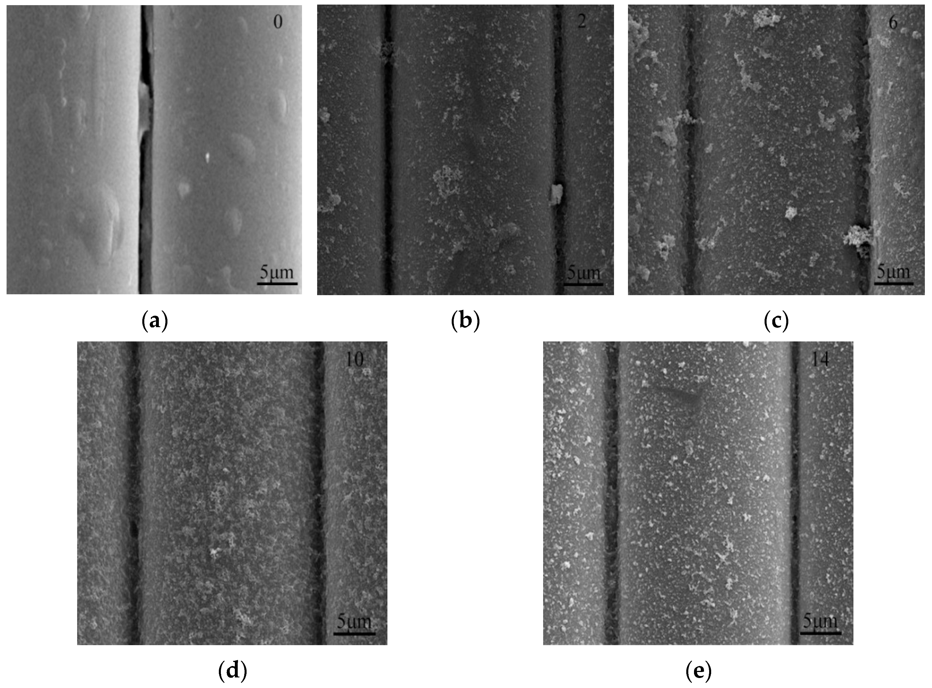 Materials 16 05663 g001