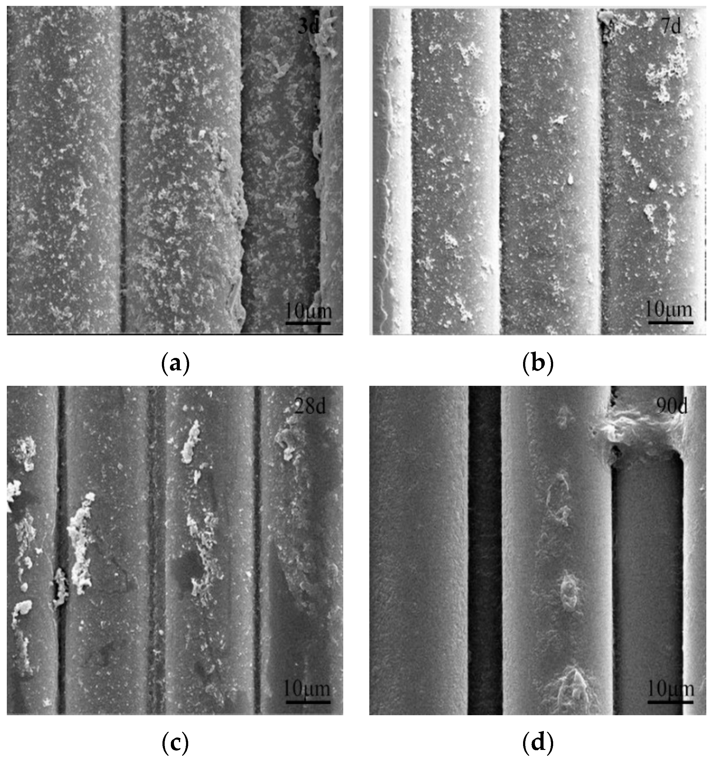 Materials 16 05663 g007