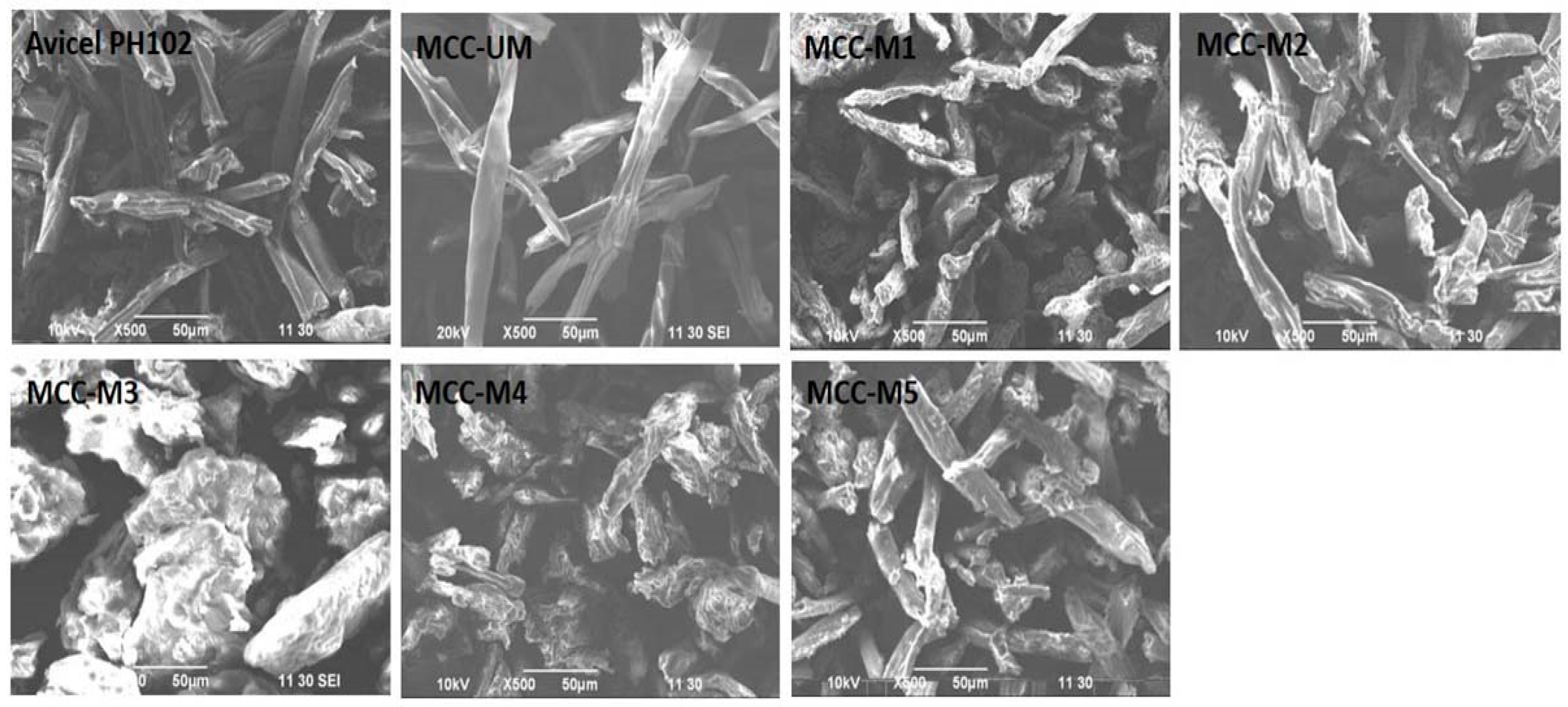 Materials 16 05664 g004