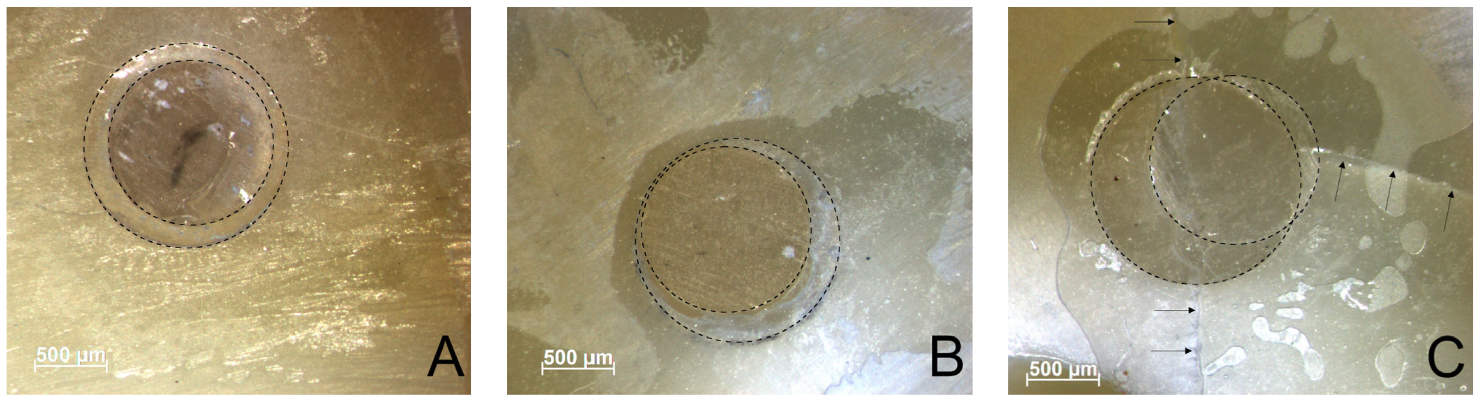 Materials 16 05667 g001