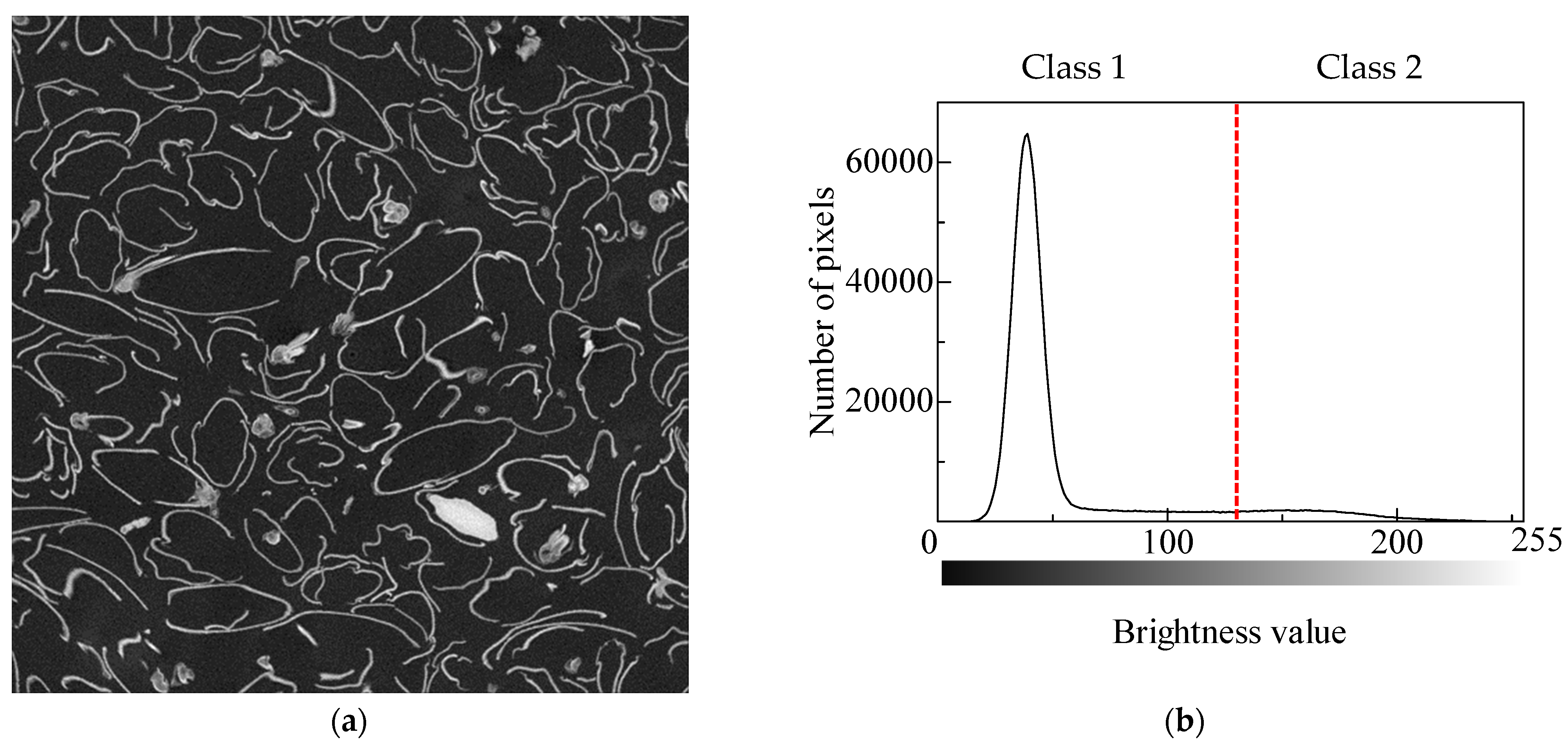 Materials 16 05671 g009