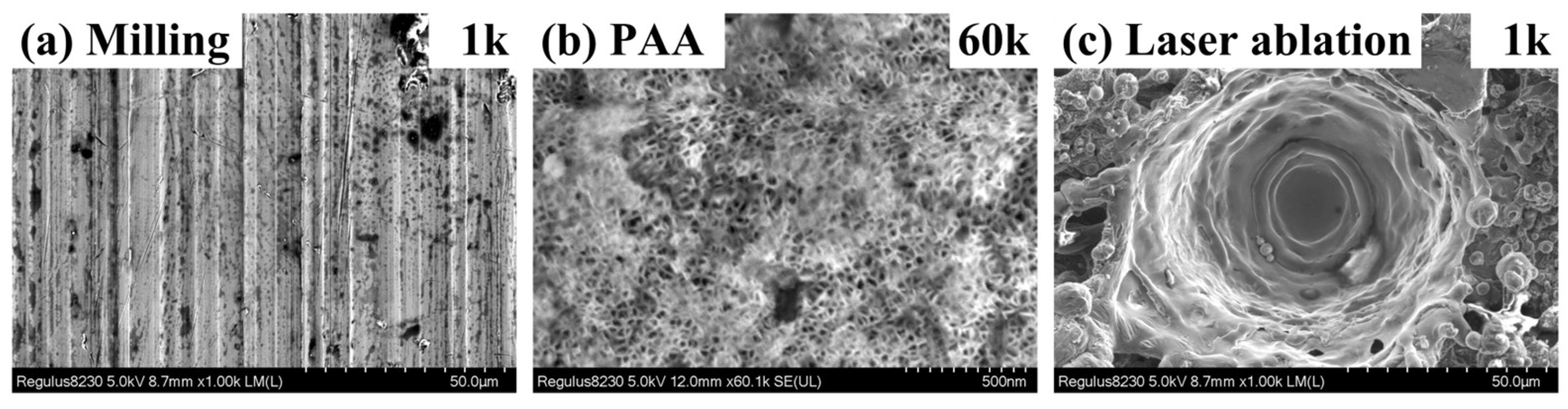 Materials 16 05674 g007