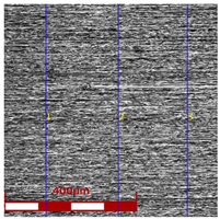 Materials 16 05684 i010