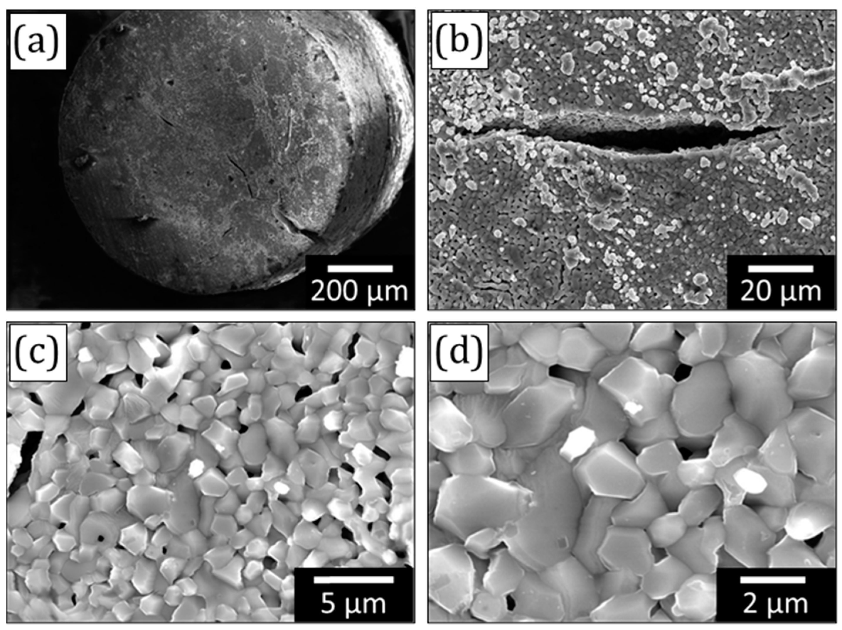 Materials 16 05699 g003