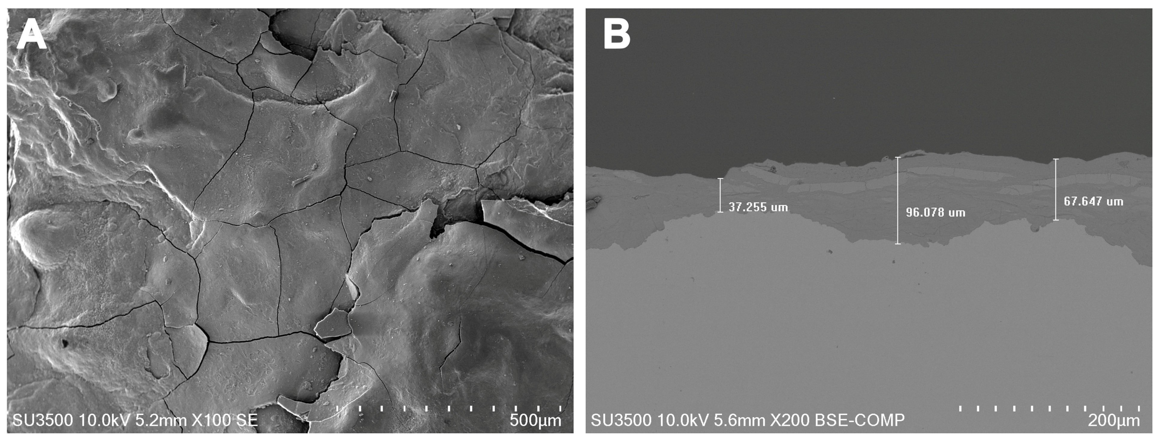 Materials 16 05713 g004