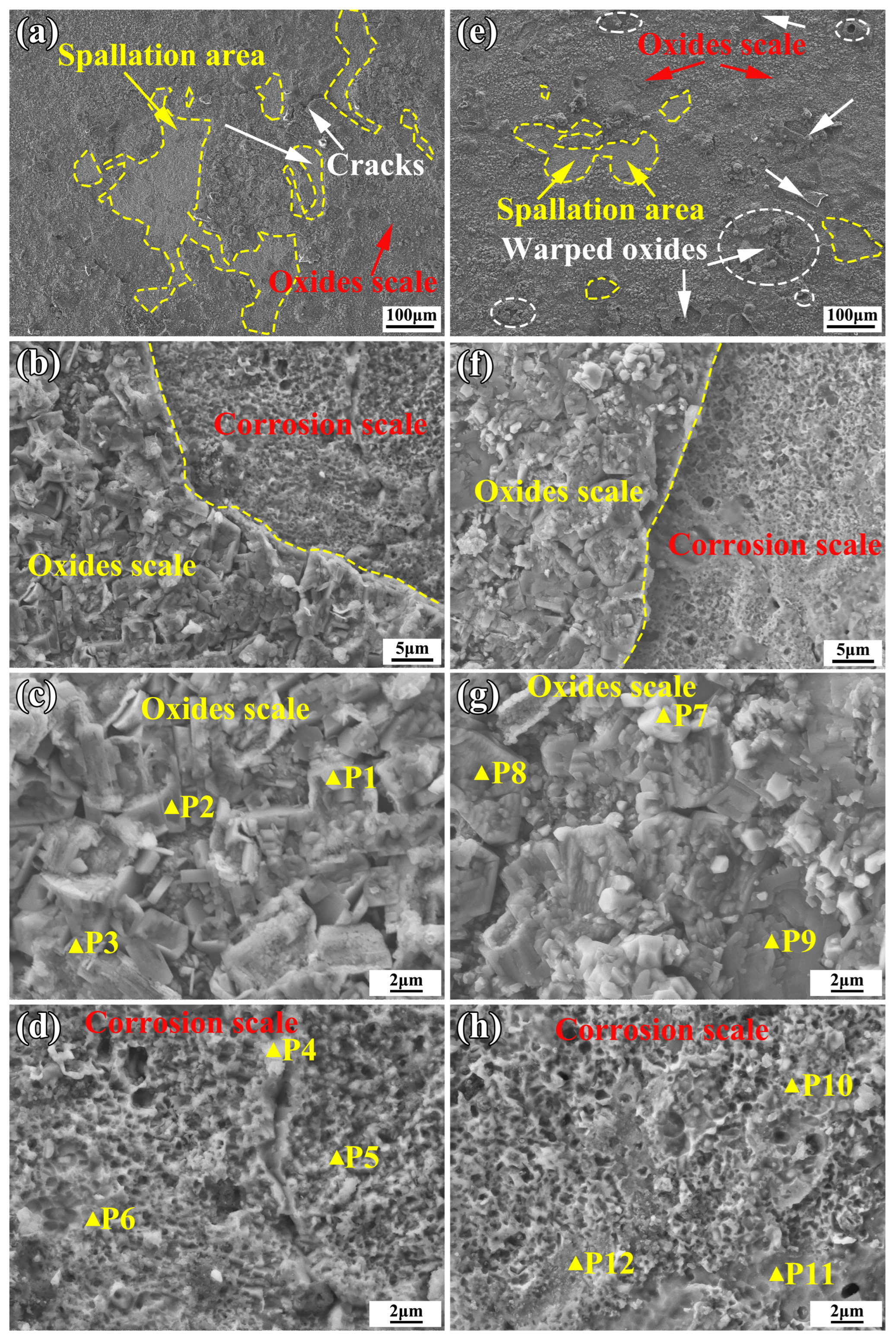 Materials 16 05747 g010