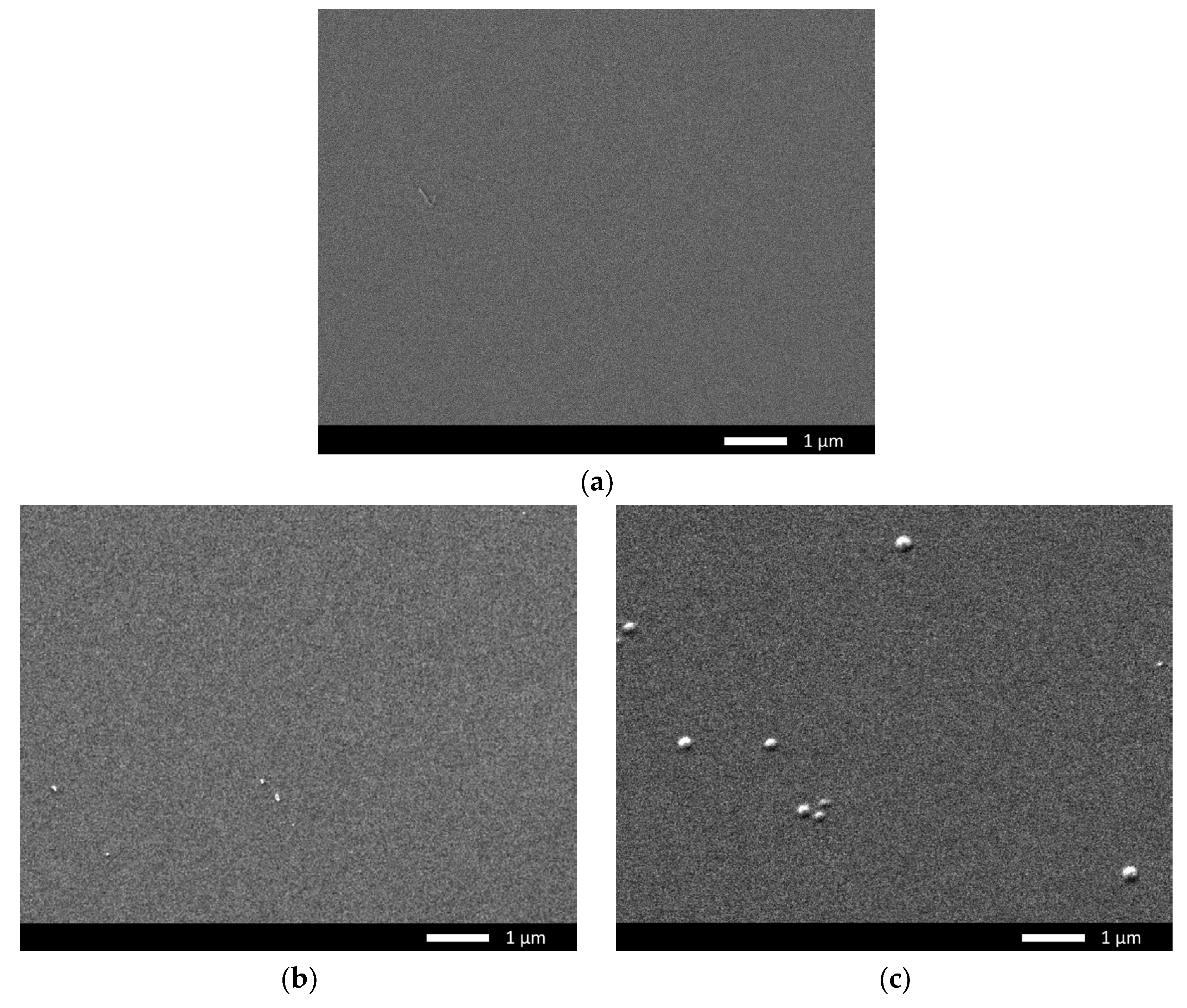 Materials 16 05750 g001a