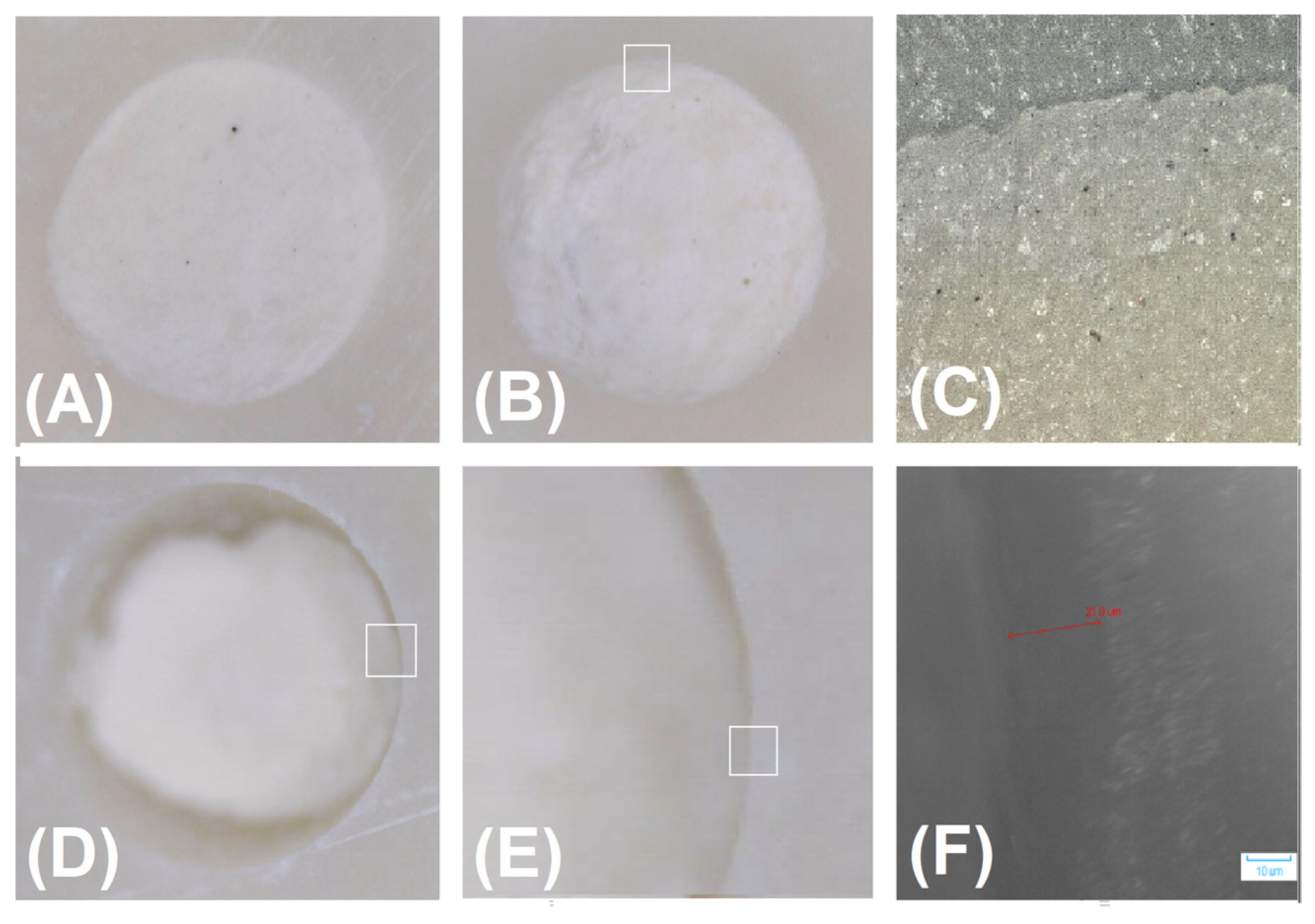 Materials 16 05757 g002