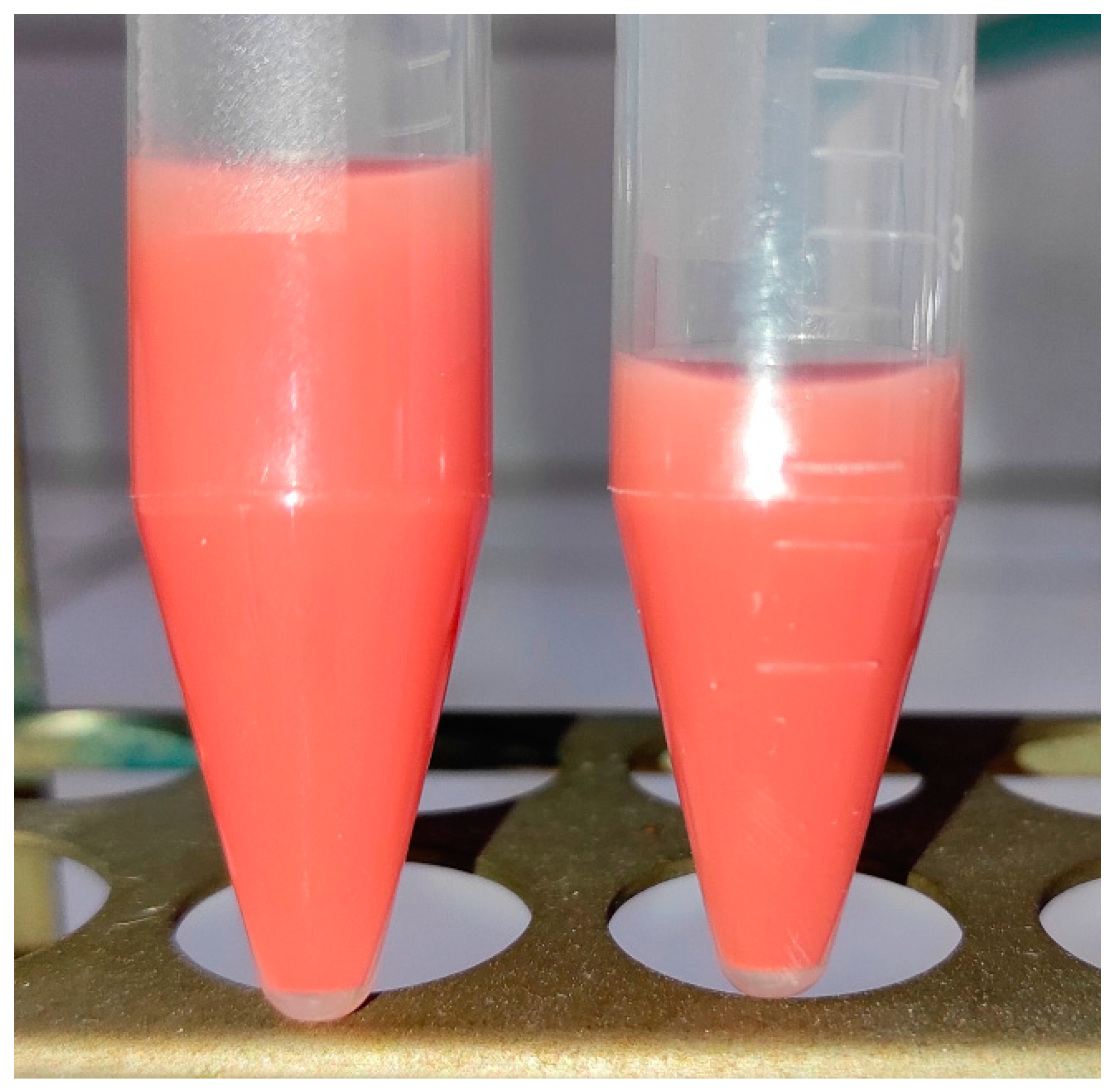 Materials 16 05774 g007