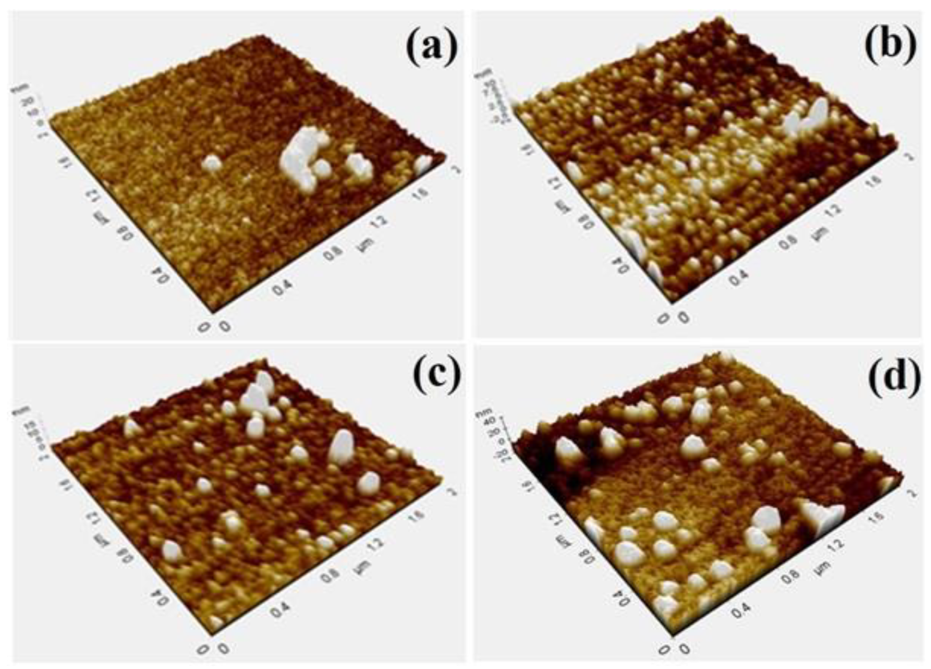 Materials 16 05788 g002