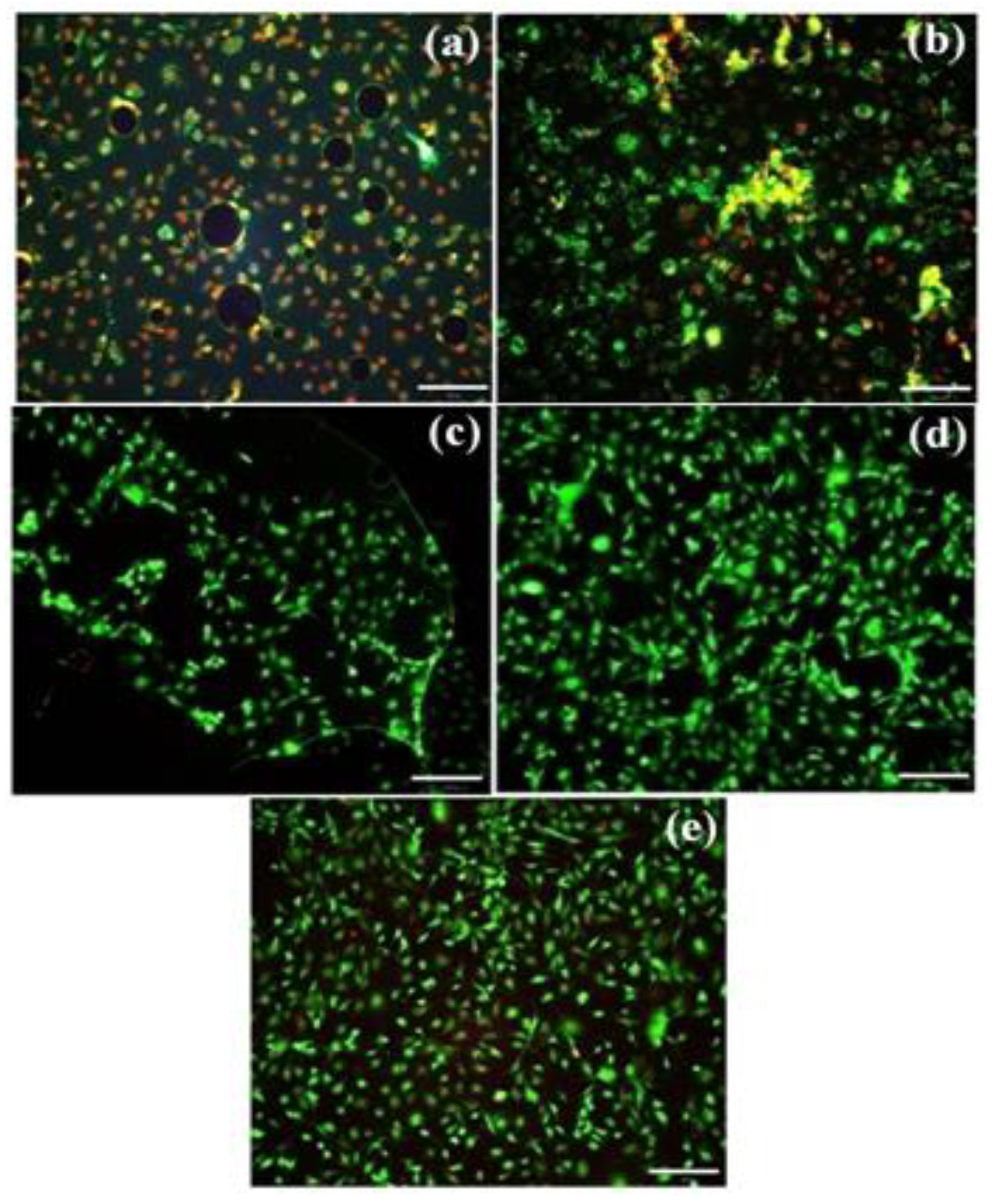 Materials 16 05788 g007
