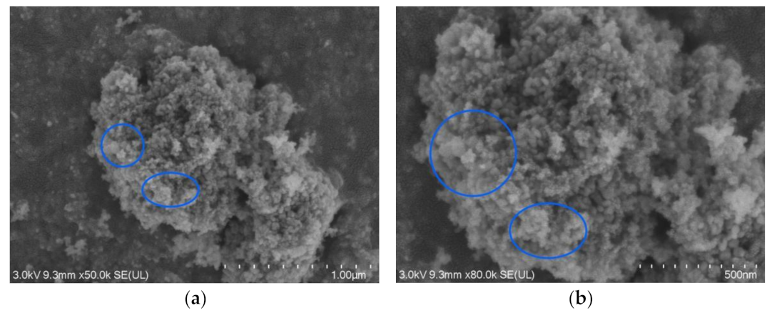 Materials 16 05793 g005