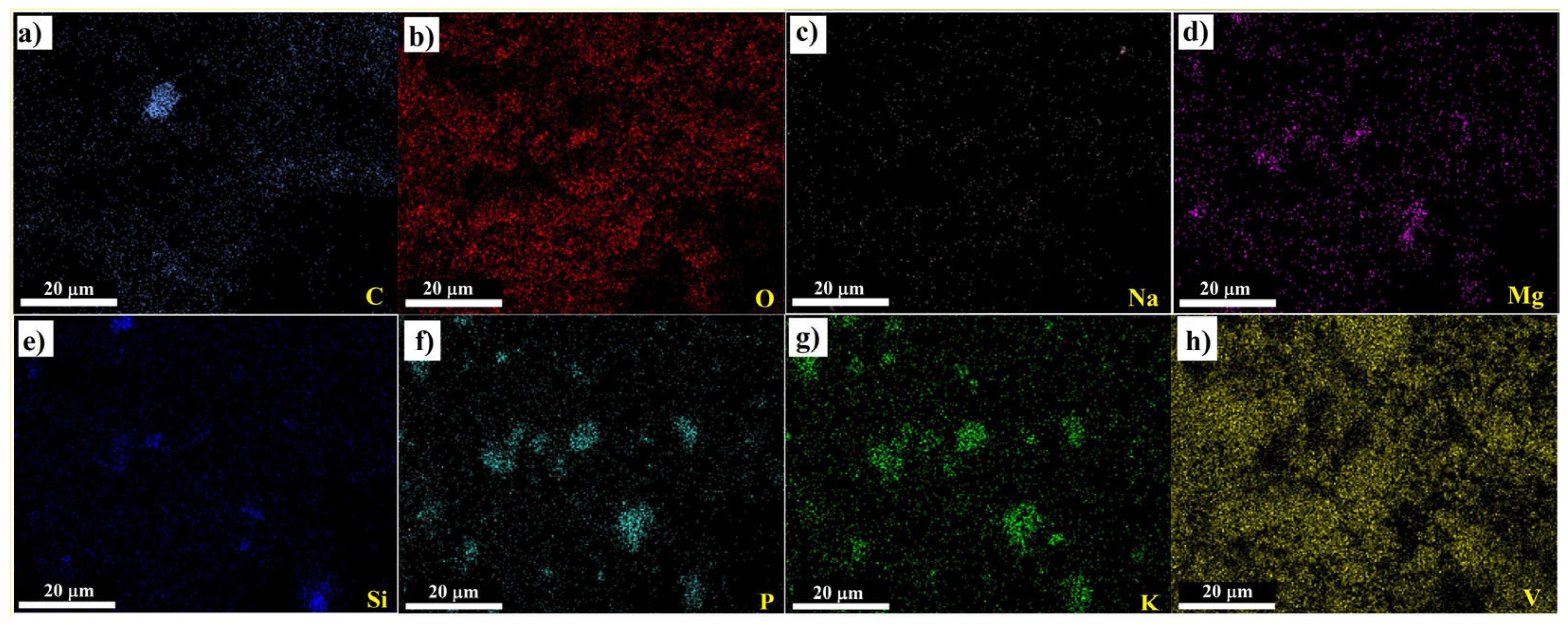 Materials 16 05800 g005