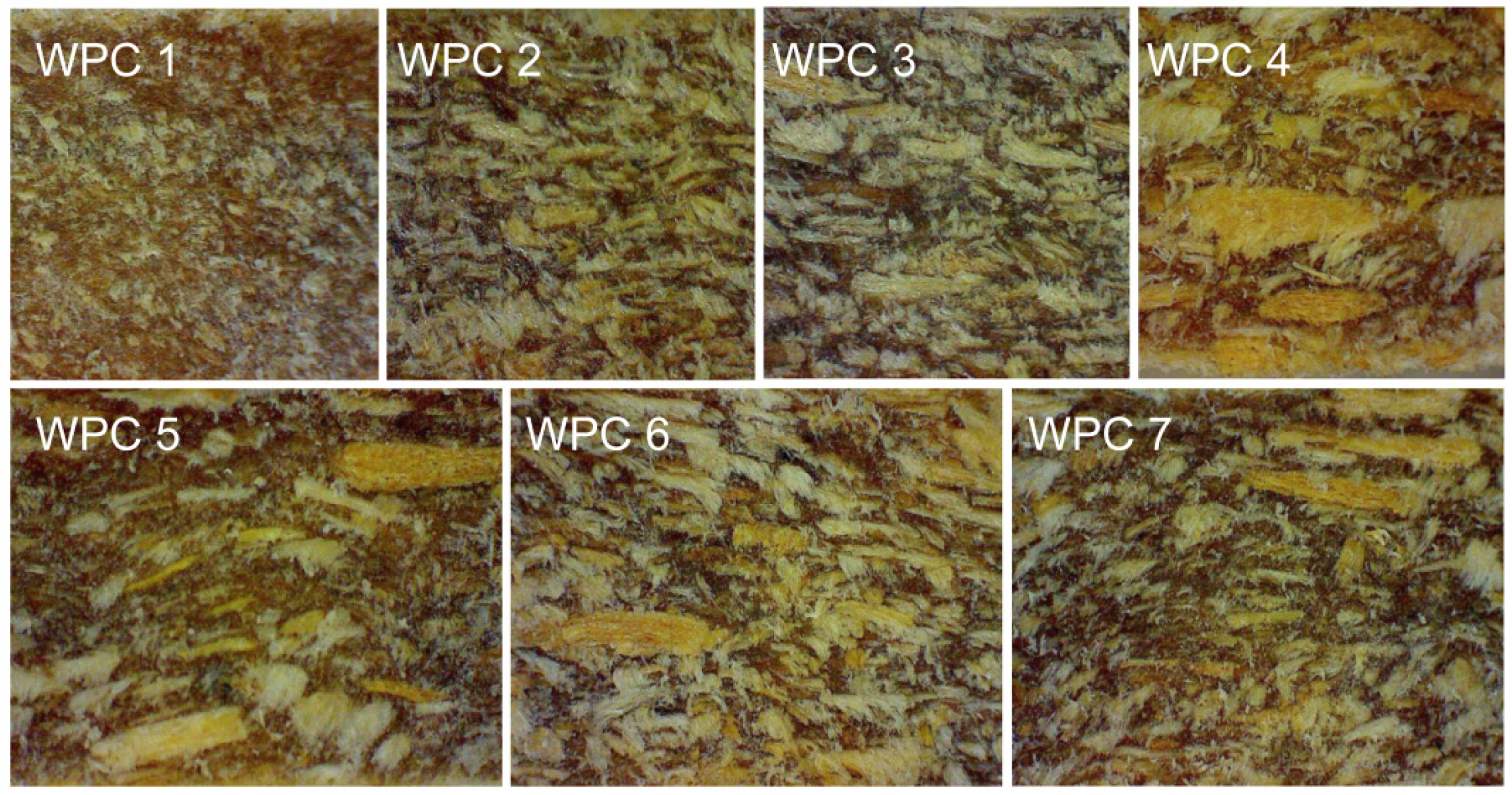 Materials 16 05801 g002