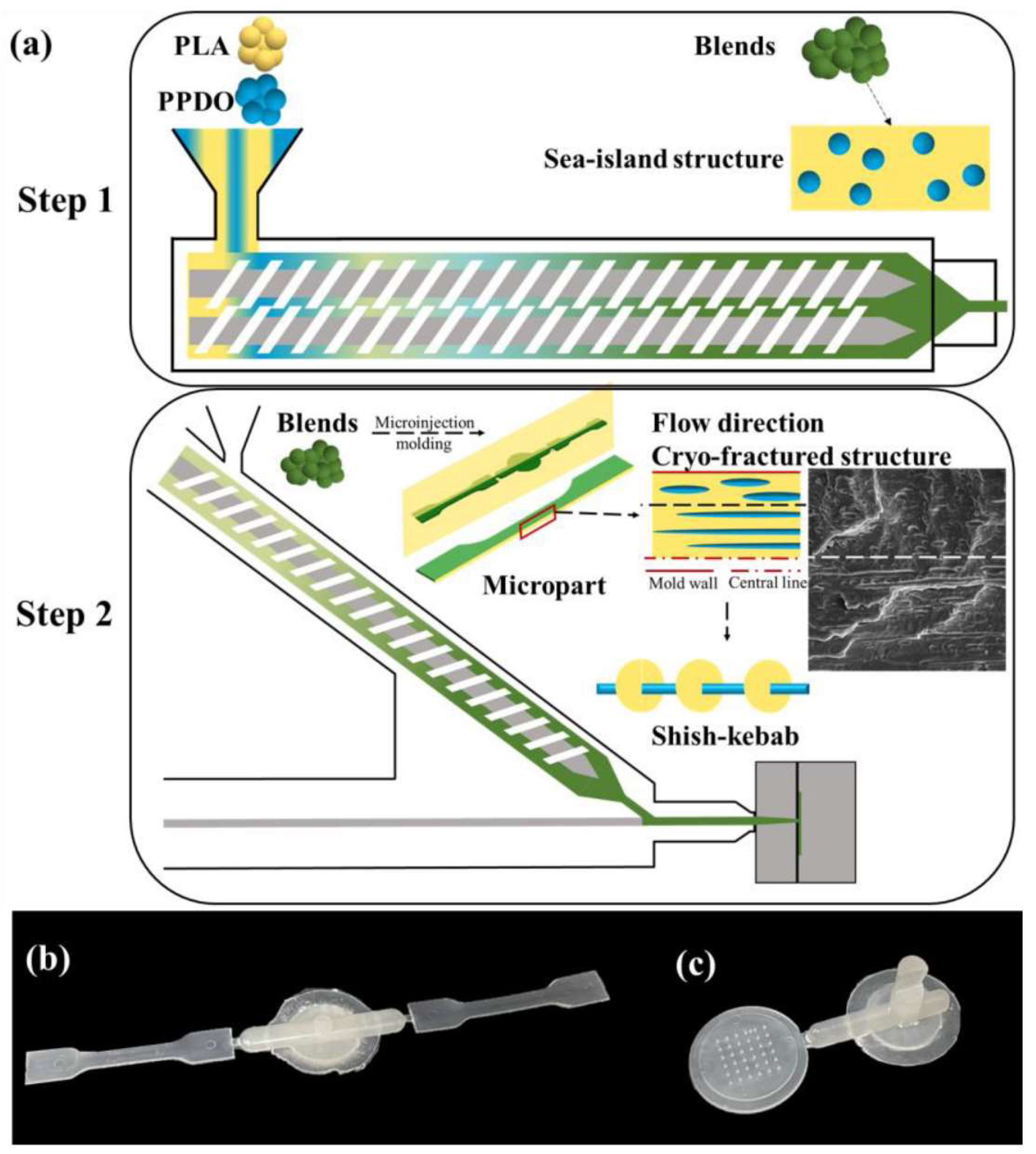 Materials 16 05802 g007 Materials 16 05802 g007