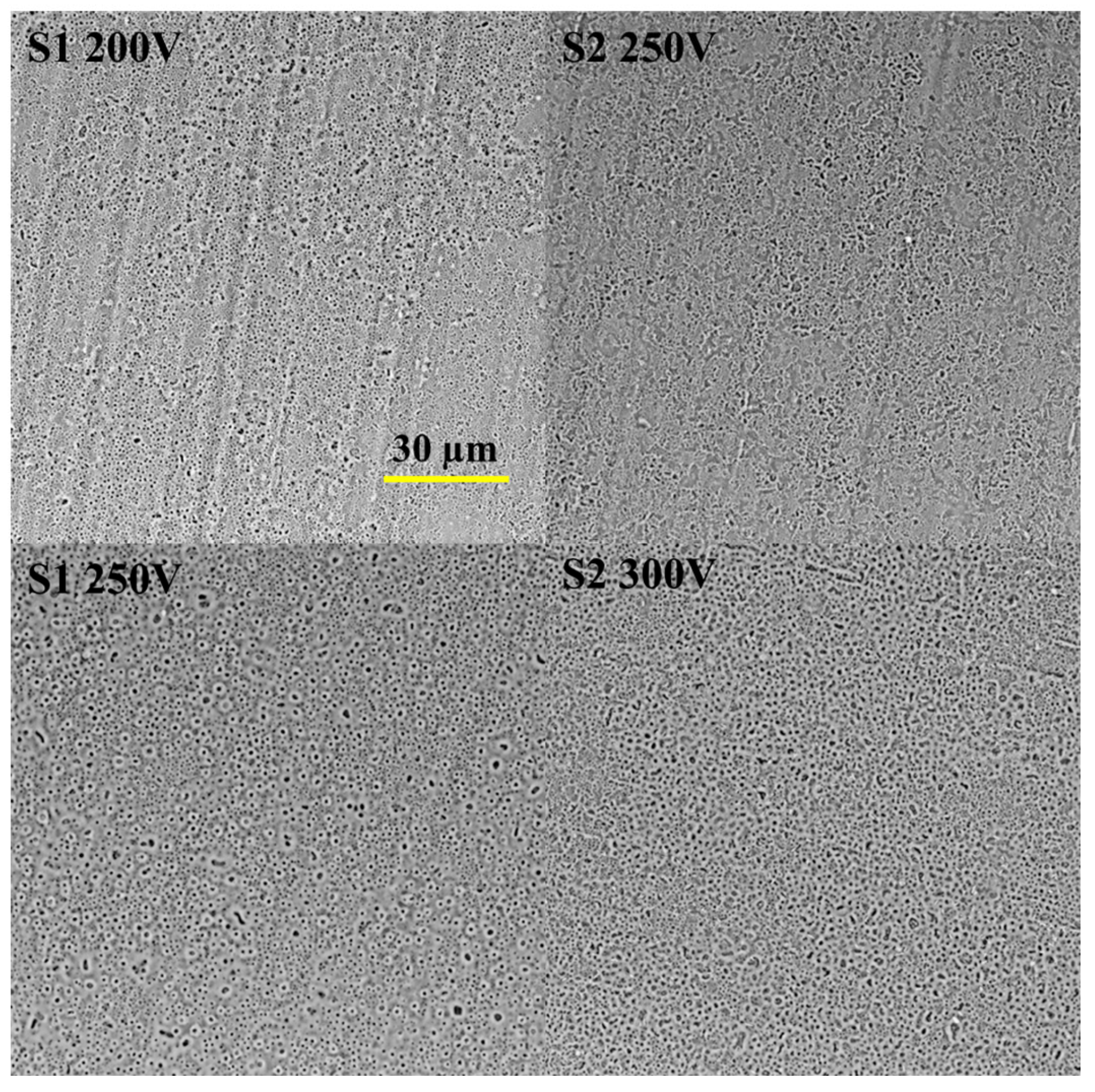 Materials 16 05807 g001