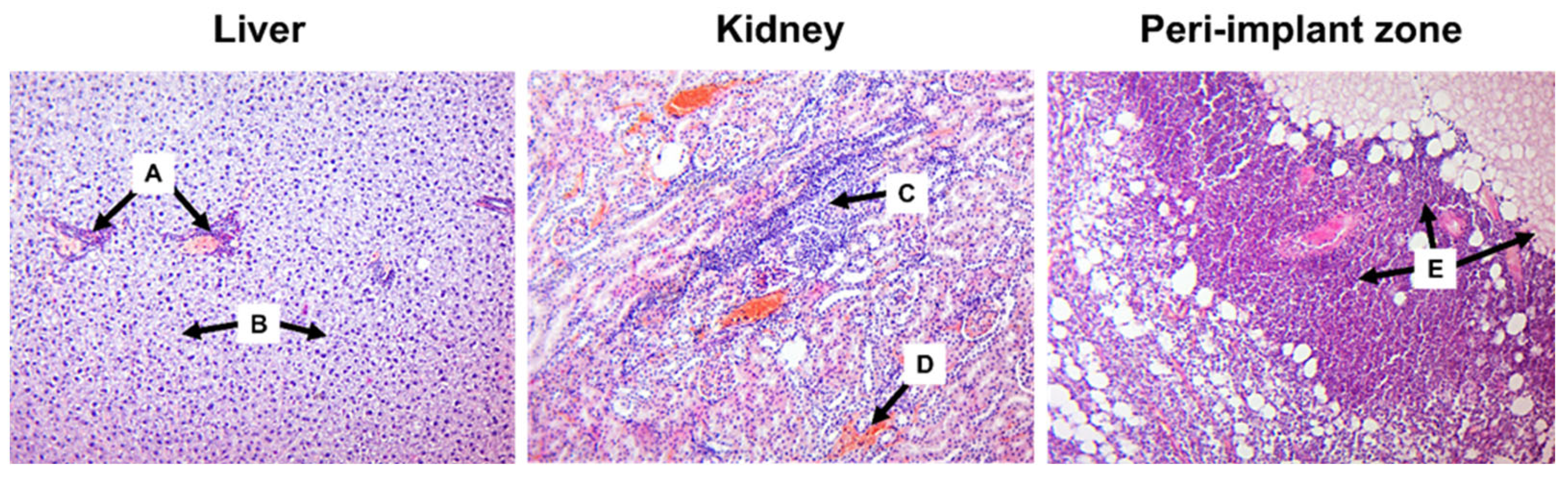 Materials 16 05807 g002