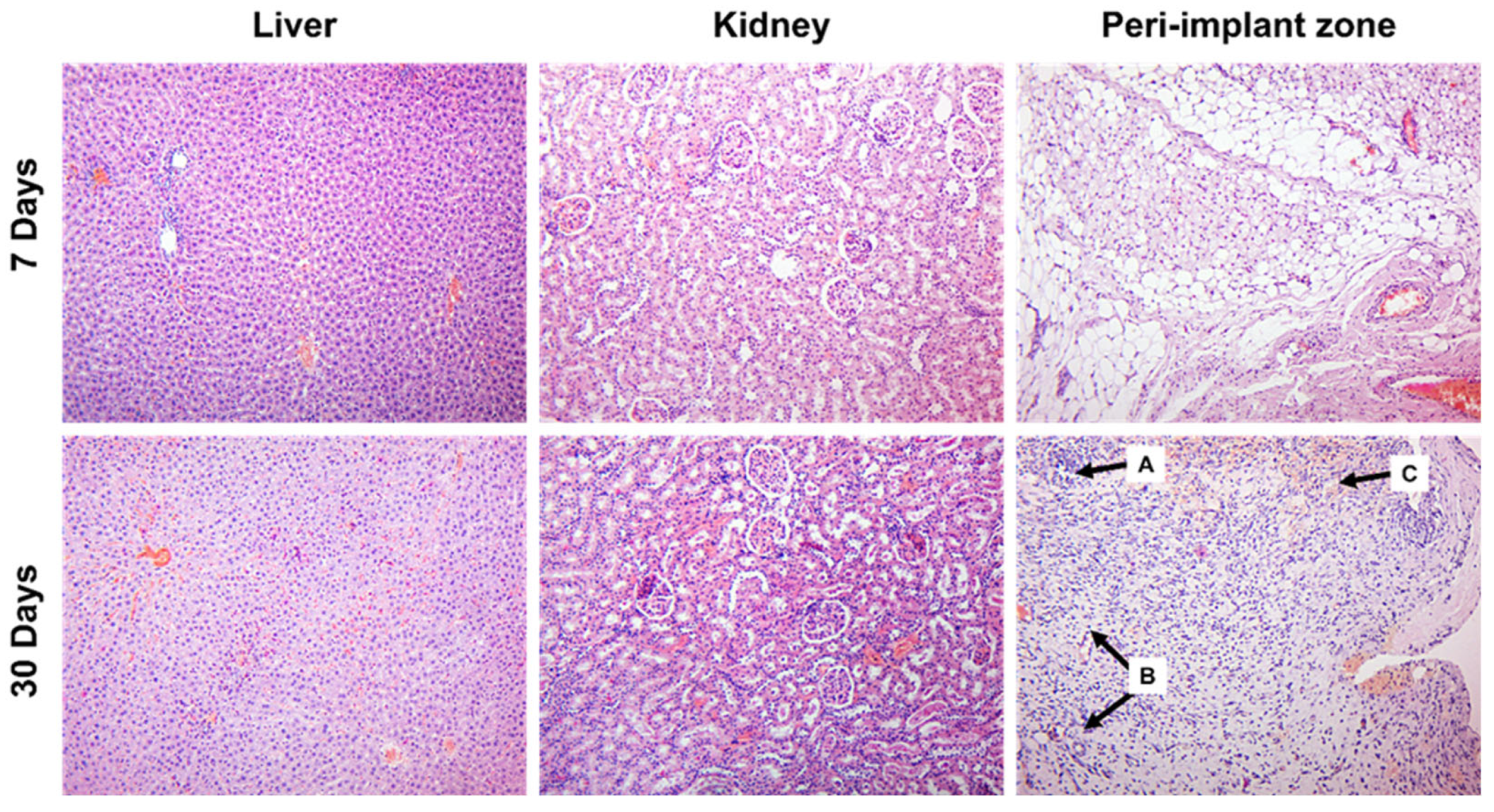 Materials 16 05807 g003
