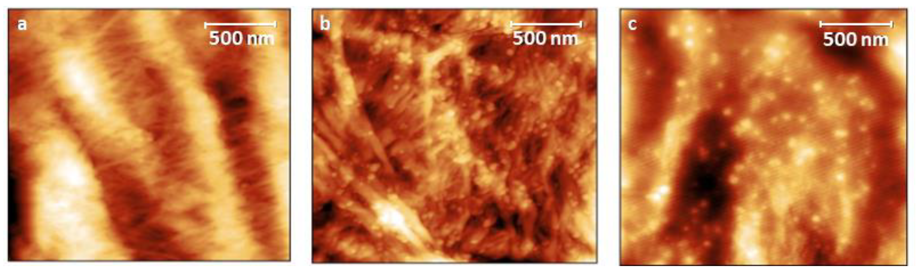 Materials 16 05826 g004