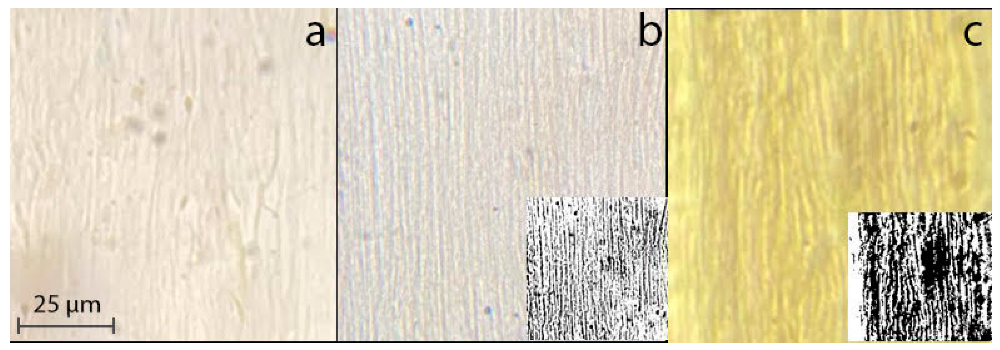 Materials 16 05843 g001