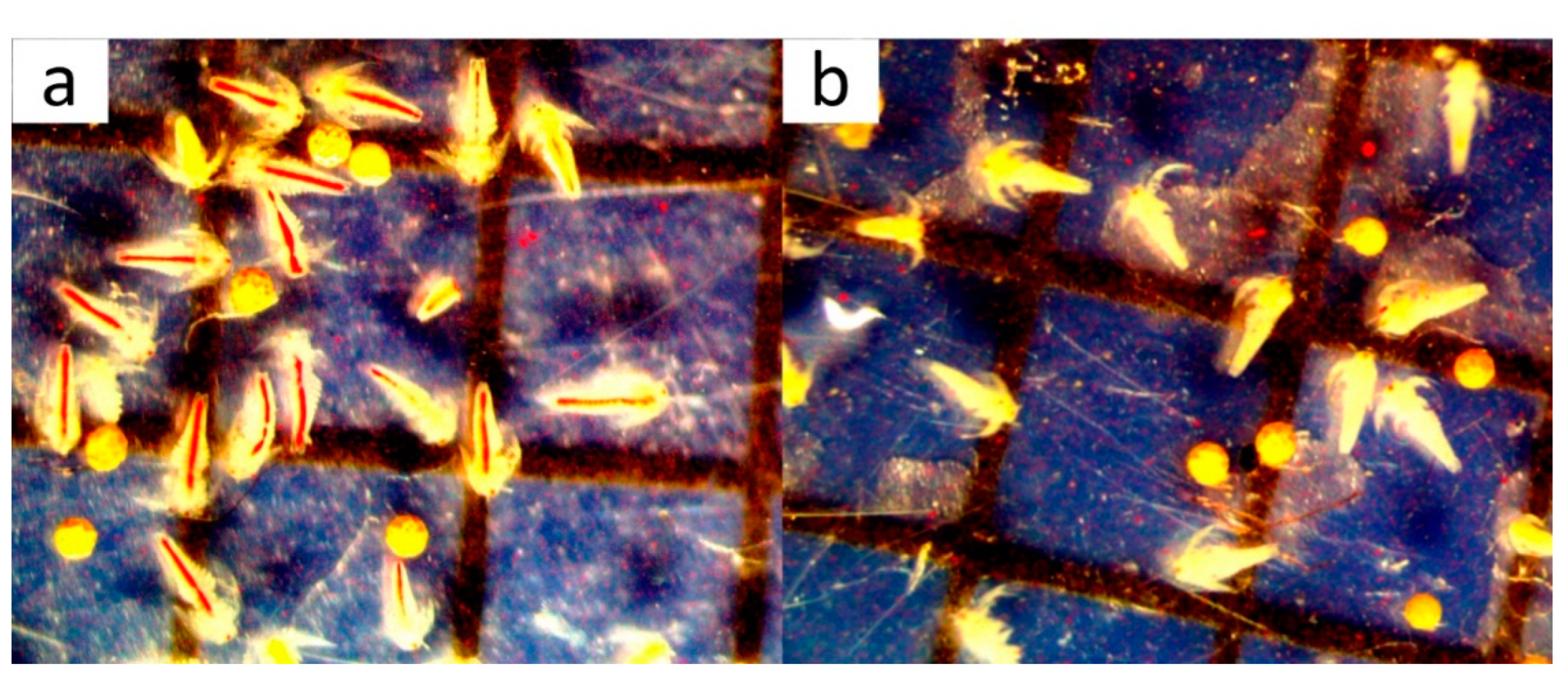 Materials 16 05847 g009