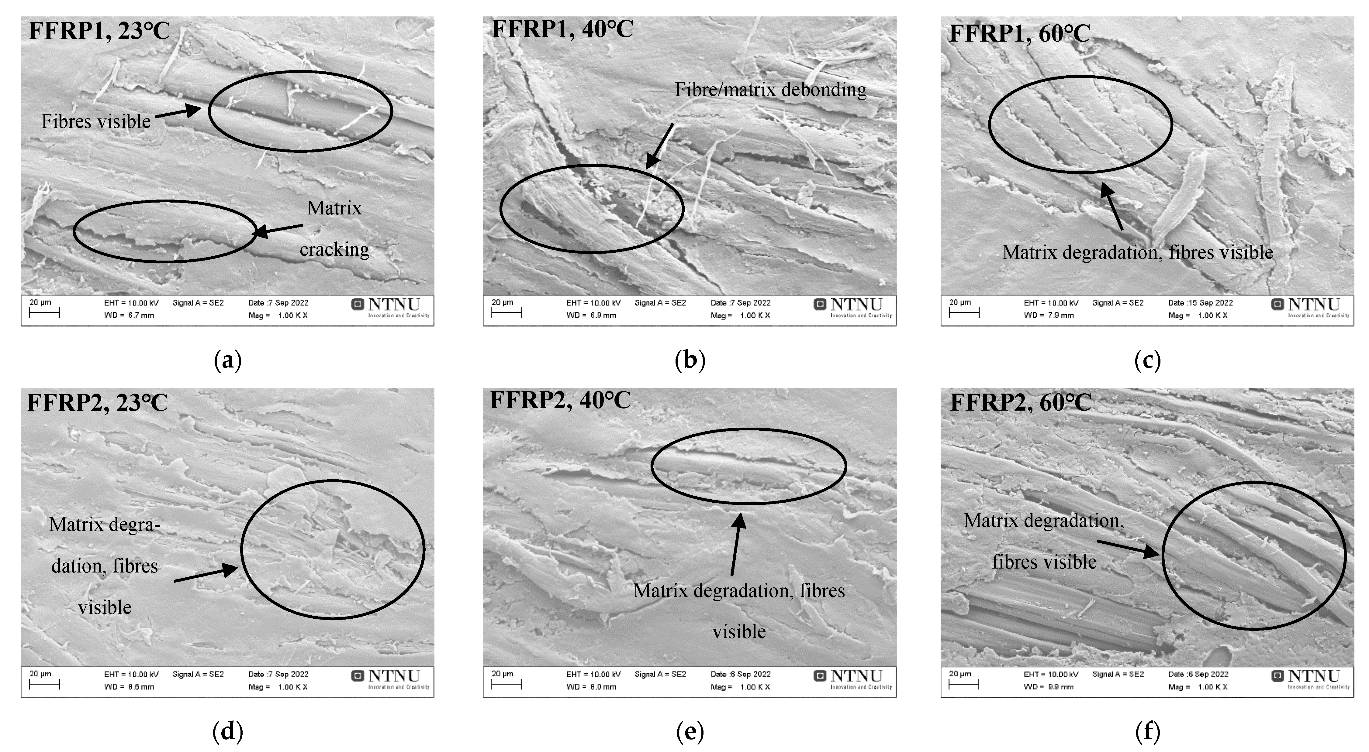Materials 16 05848 g010a