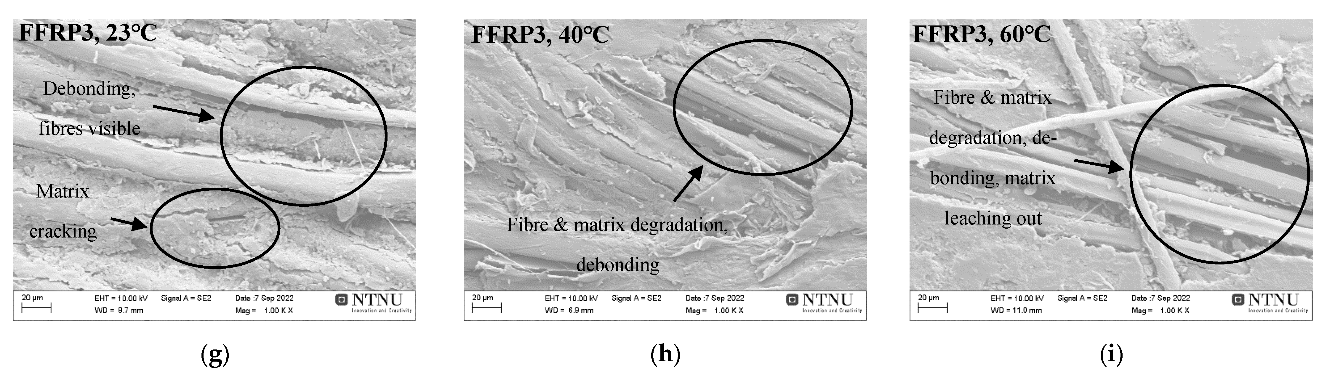 Materials 16 05848 g010b