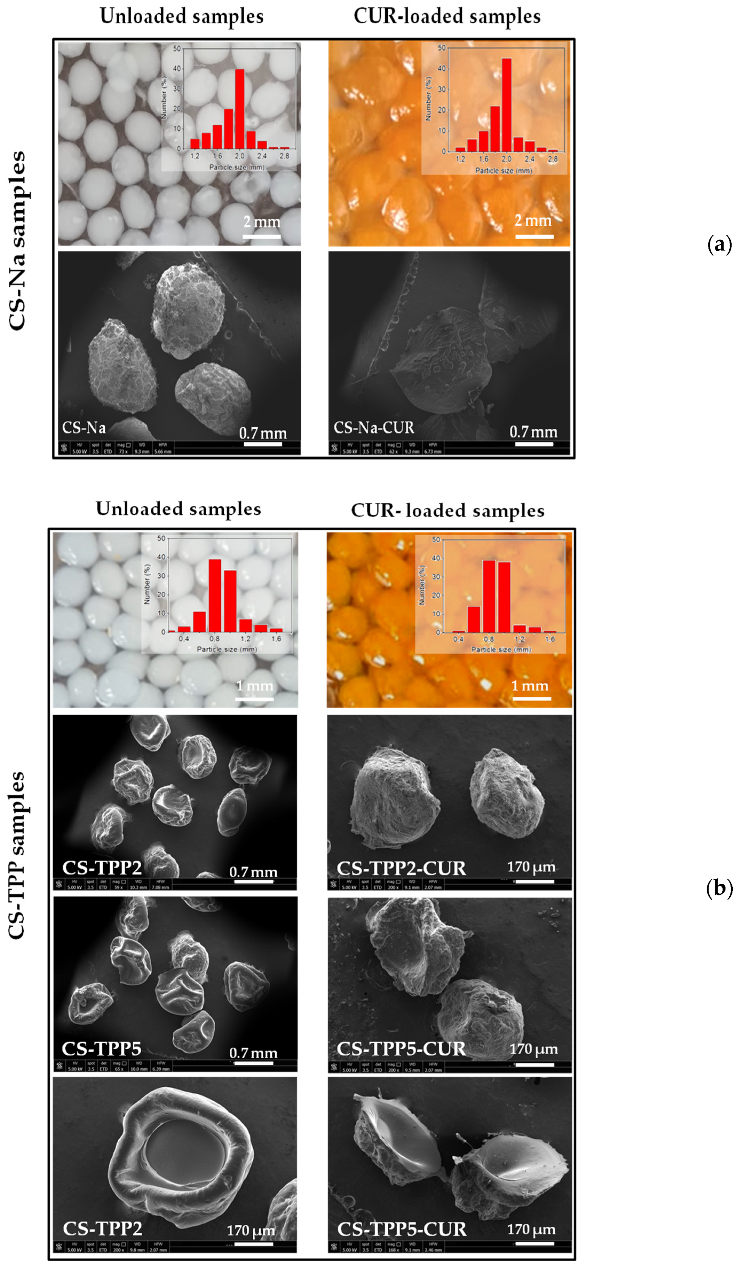 Materials 16 05850 g002a