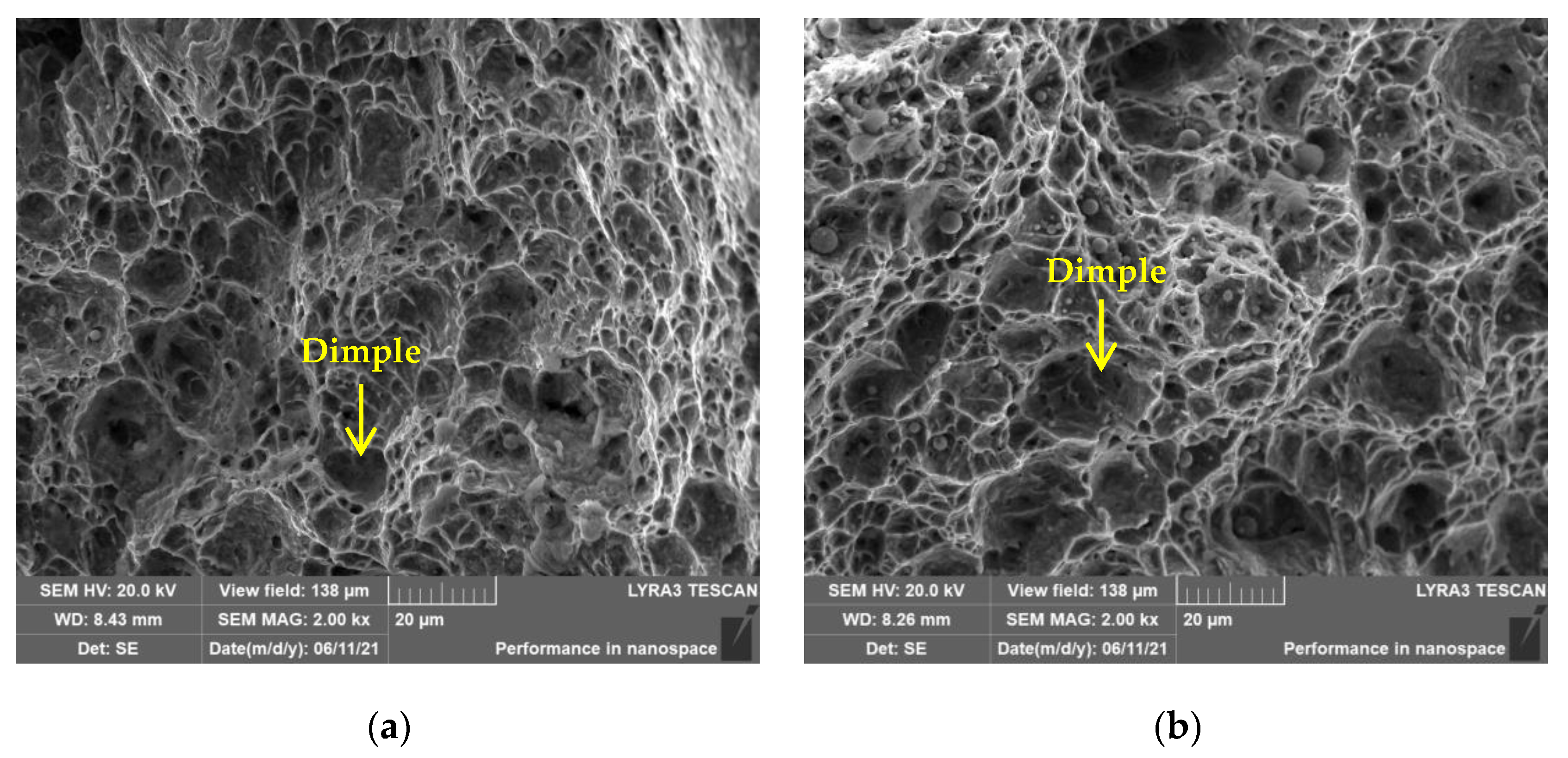 Materials 16 05860 g005