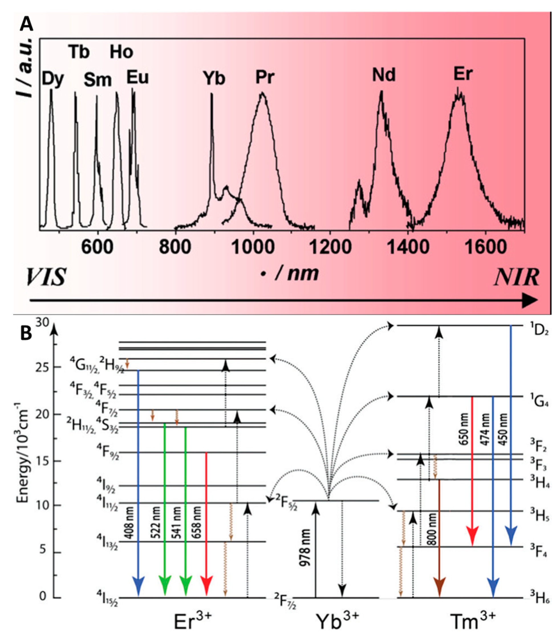 Materials 16 05869 g001 Materials 16 05869 g001