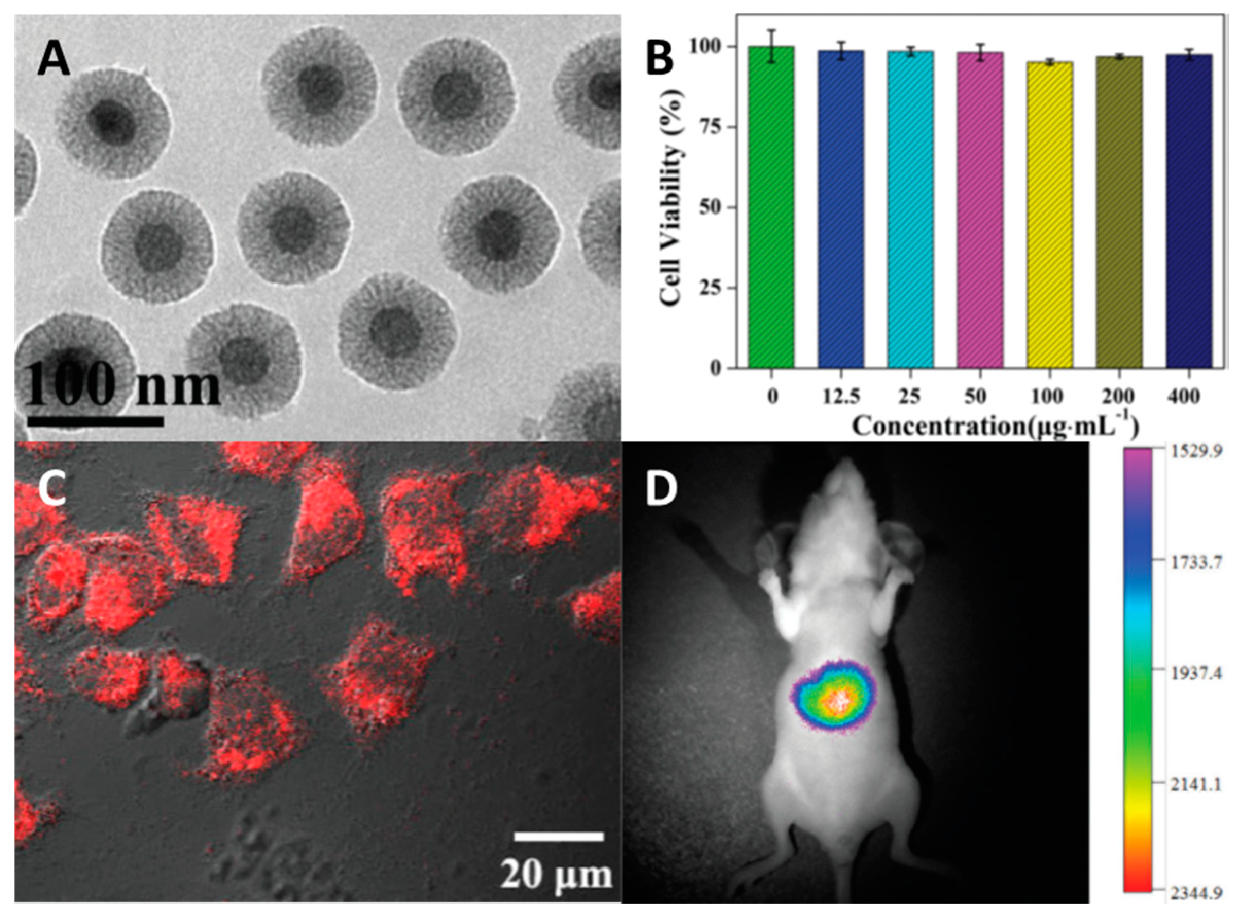 Materials 16 05869 g002 Materials 16 05869 g002
