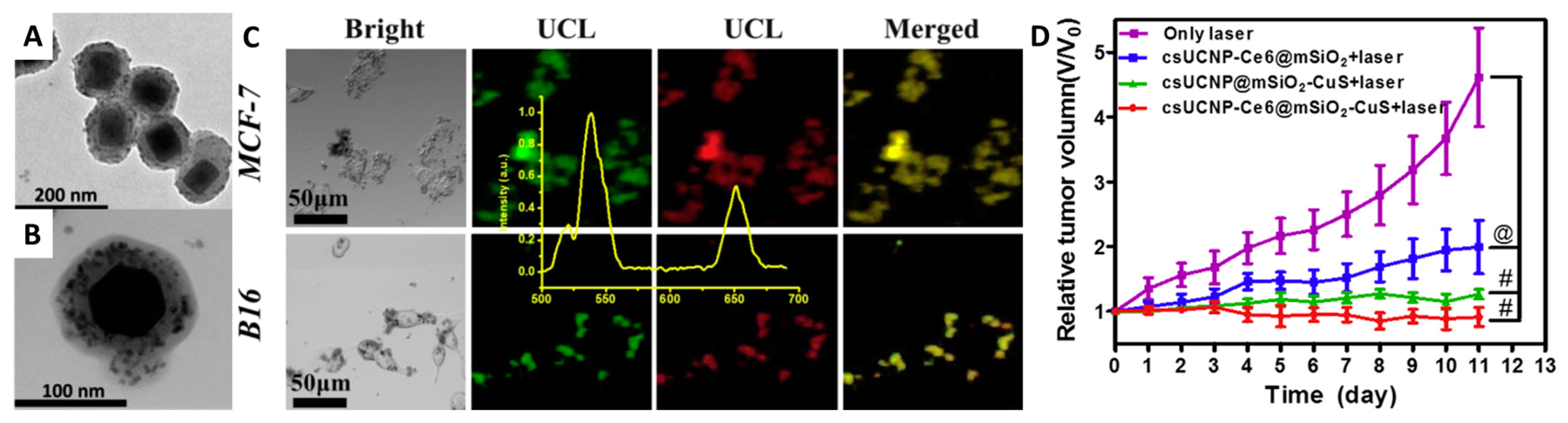 Materials 16 05869 g005 Materials 16 05869 g005