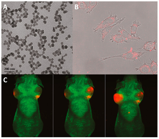 Silica-Based Materials Containing Inorganic Red/NIR Emitters