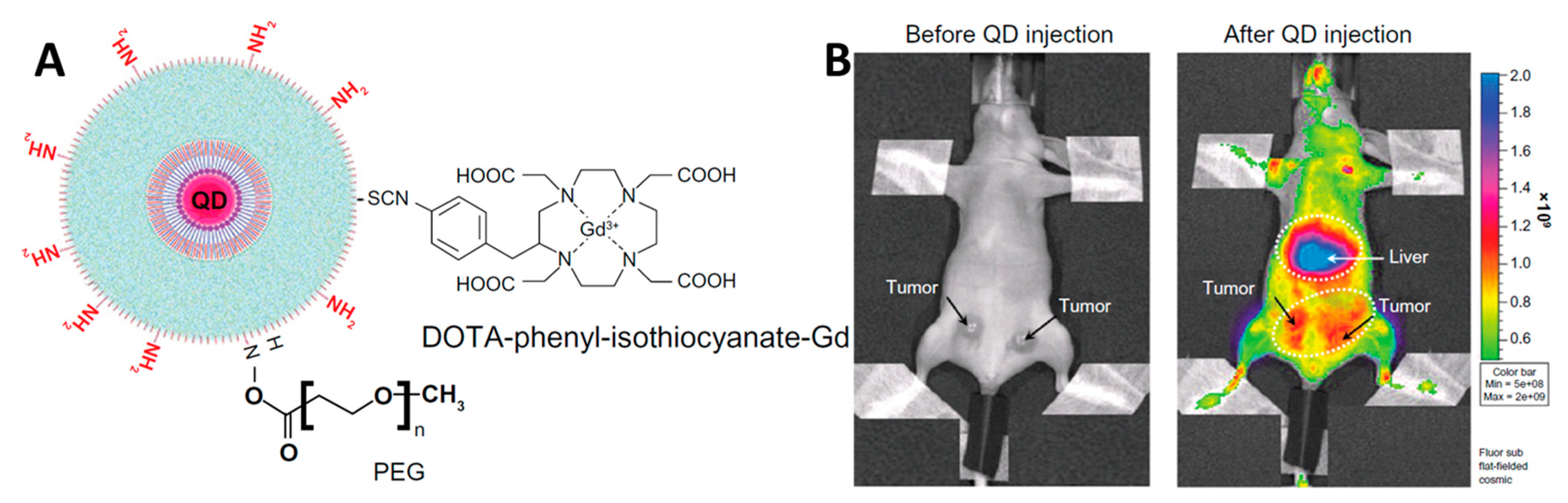 Materials 16 05869 g009 Materials 16 05869 g009