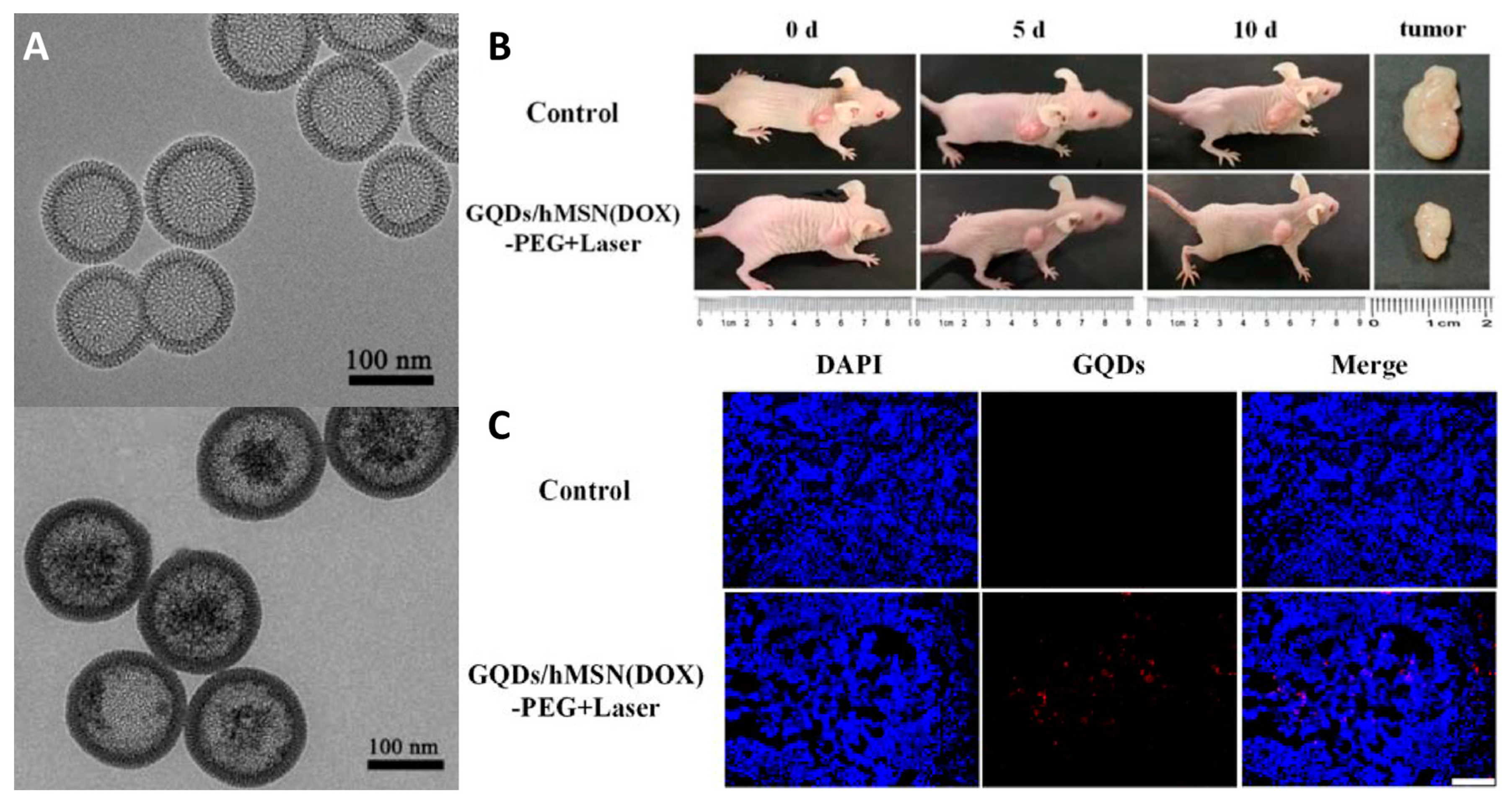 Materials 16 05869 g011 Materials 16 05869 g011