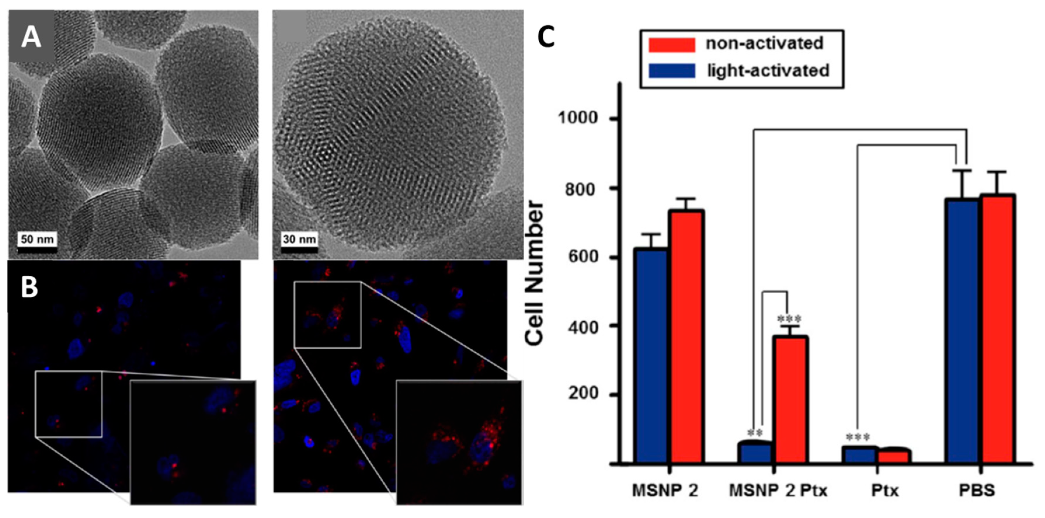 Materials 16 05869 g014 Materials 16 05869 g014