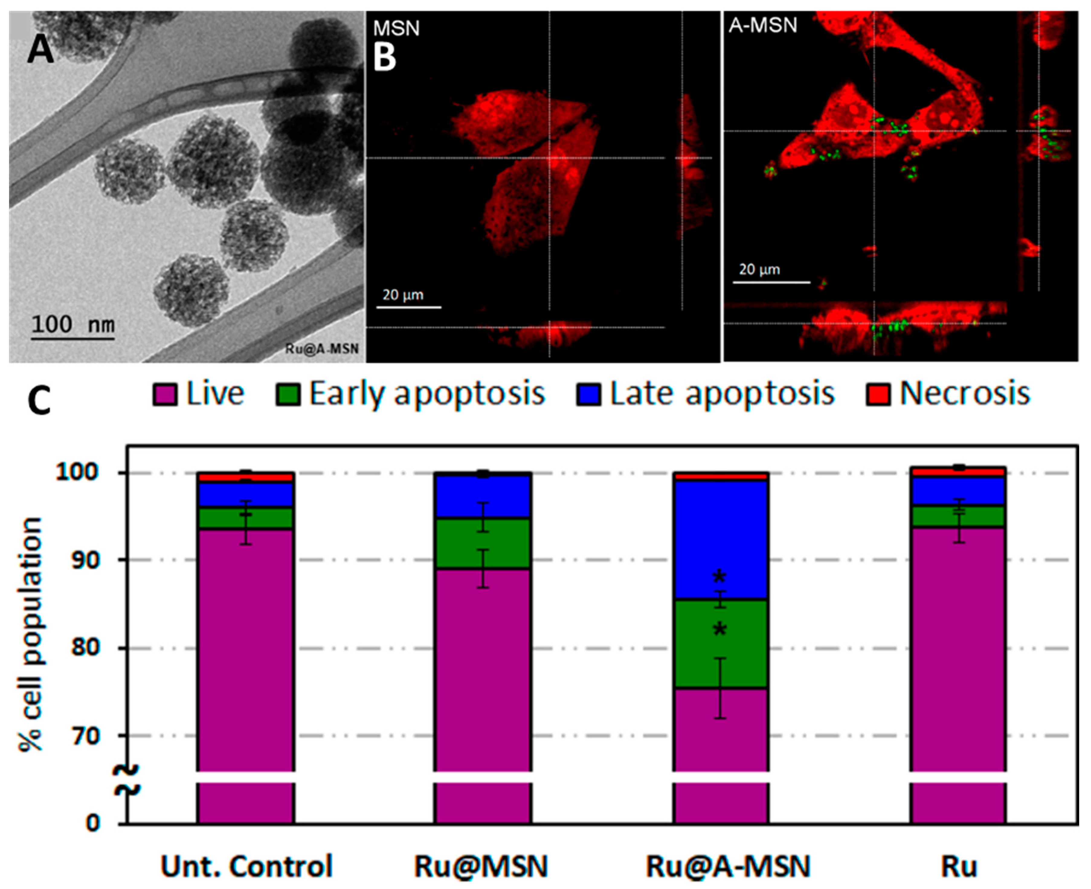 Materials 16 05869 g015 Materials 16 05869 g015