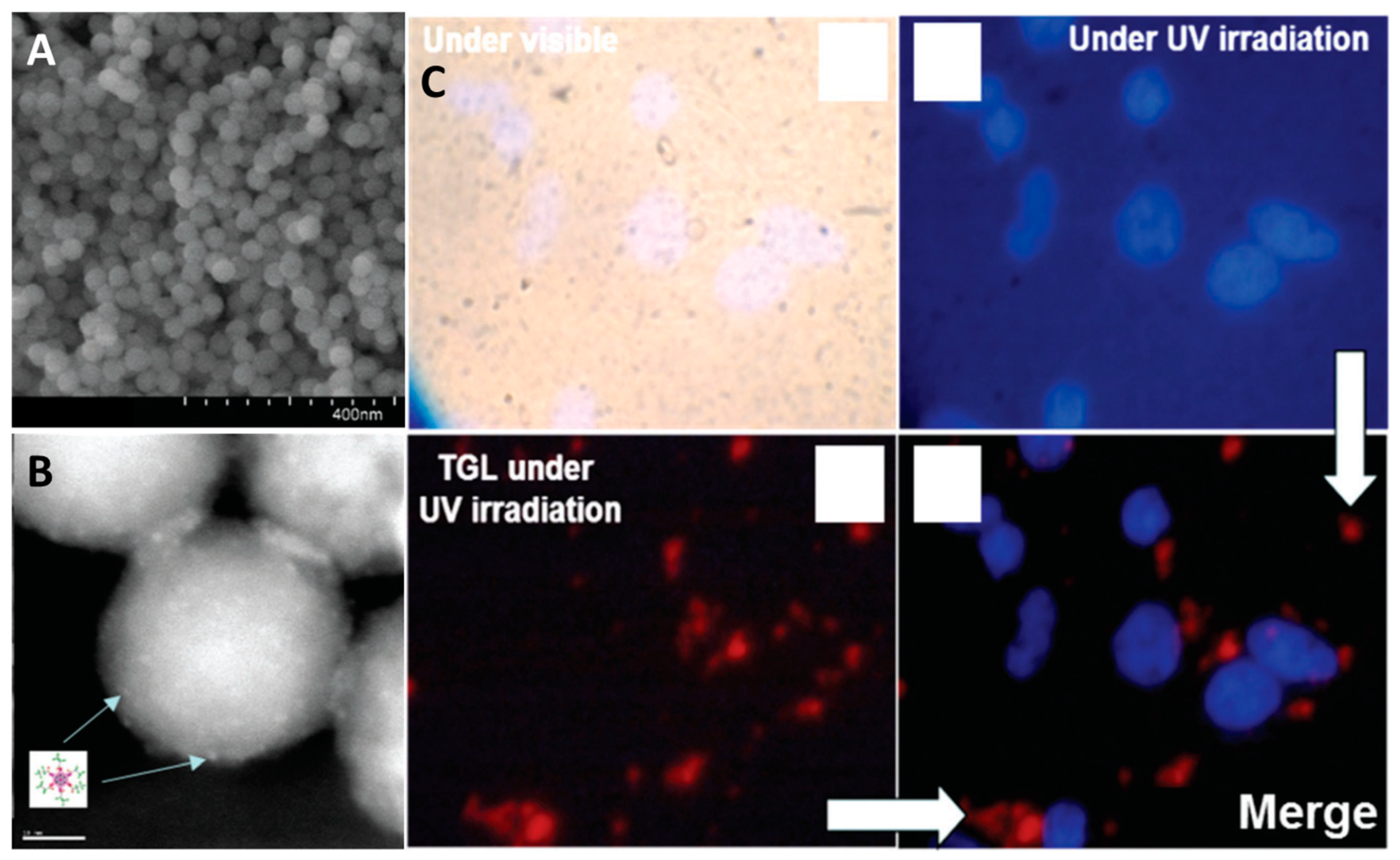 Materials 16 05869 g018 Materials 16 05869 g018
