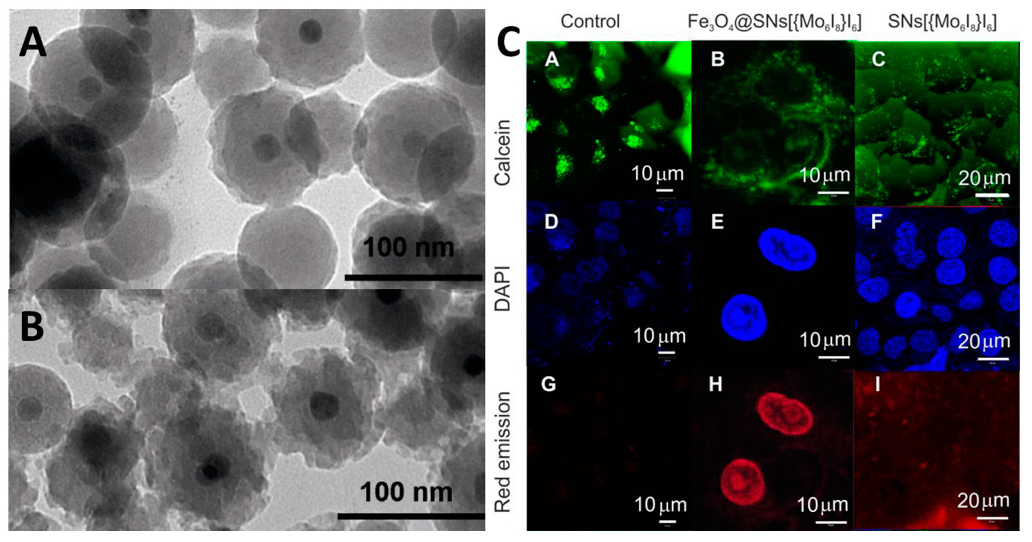 Materials 16 05869 g022 Materials 16 05869 g022