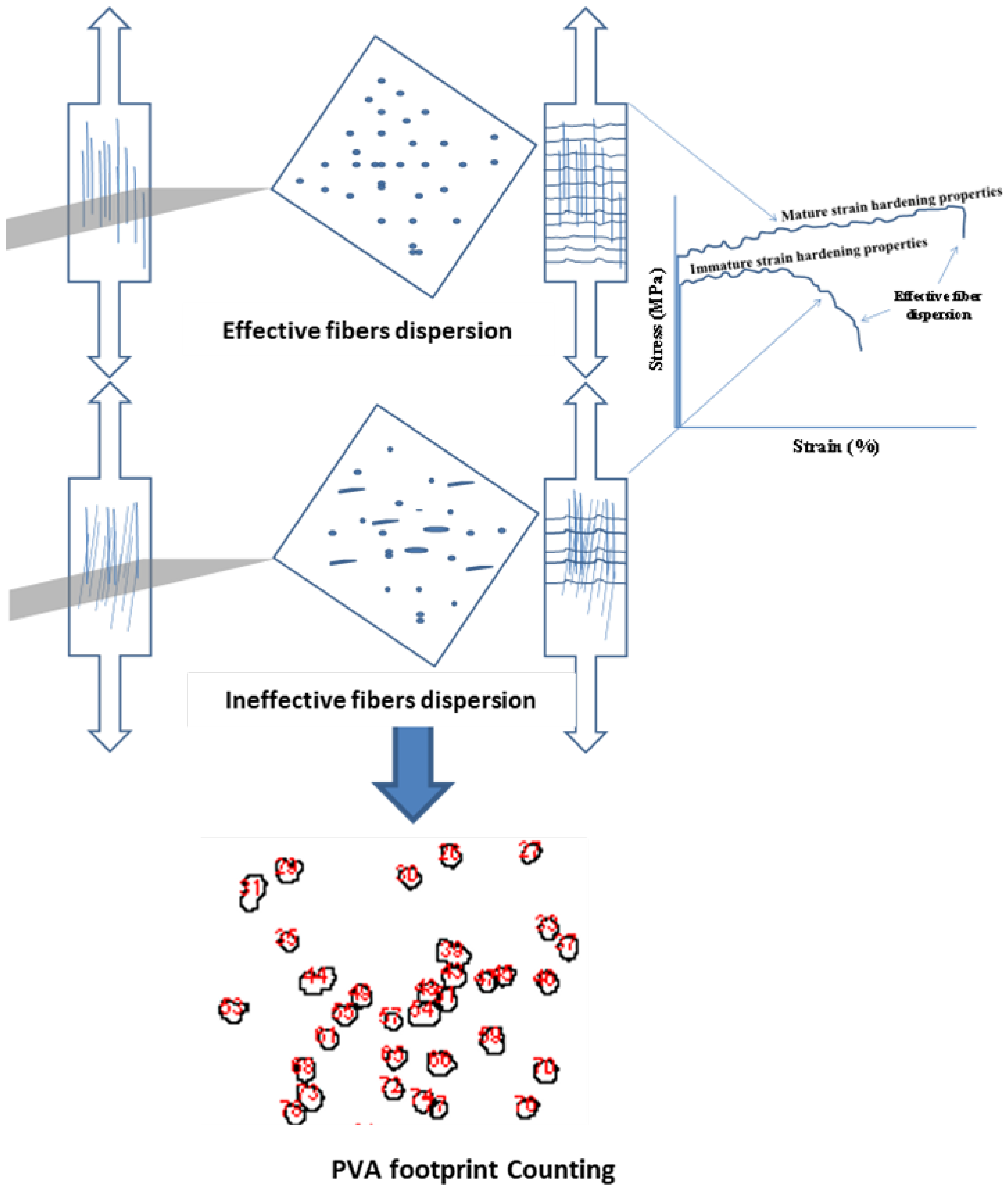 Materials 16 05896 g008