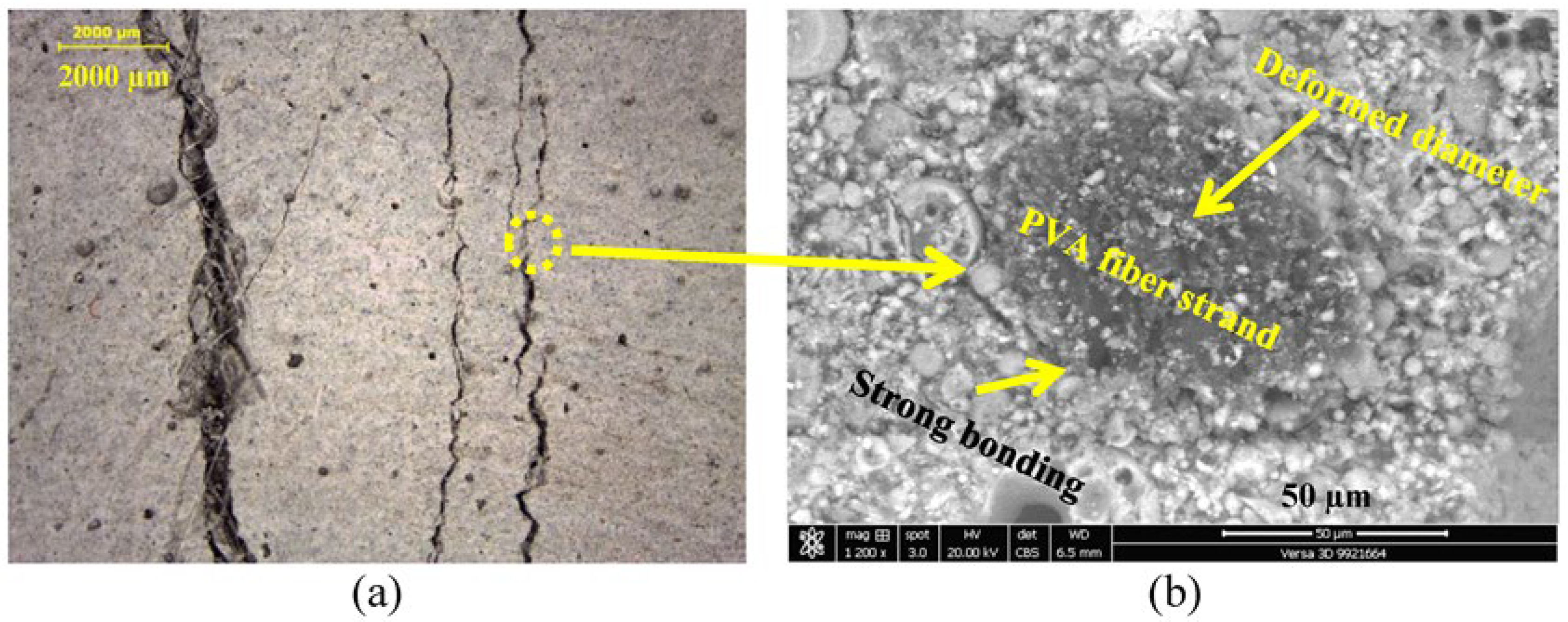 Materials 16 05896 g014